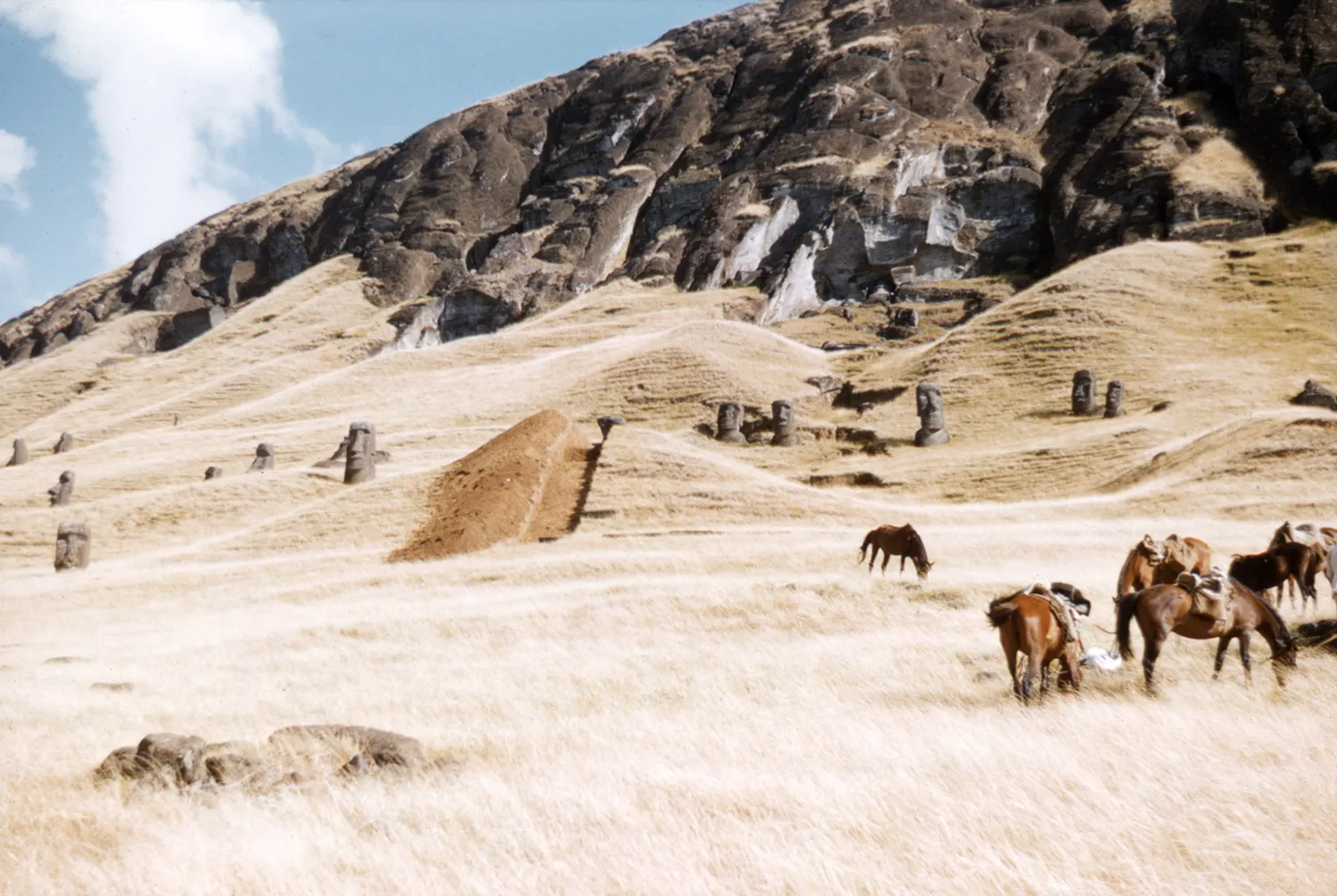 Cantera de los Moai en 1956