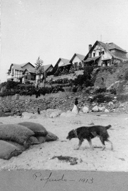 Casas en Papudo, 1913