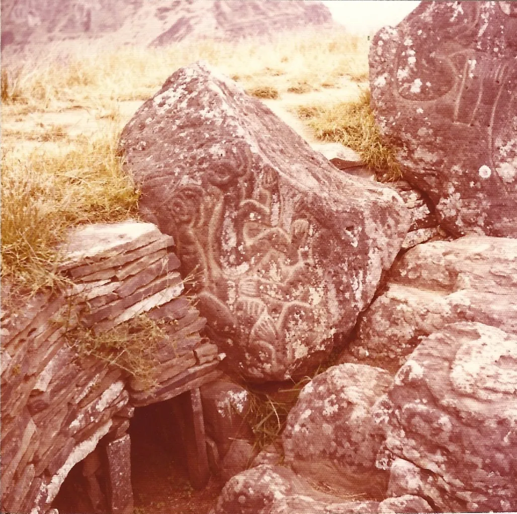 Visita a Rapa Nui