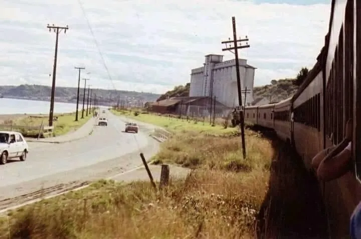 Tren "Rápido de Puerto Montt" subiendo camino a la capital