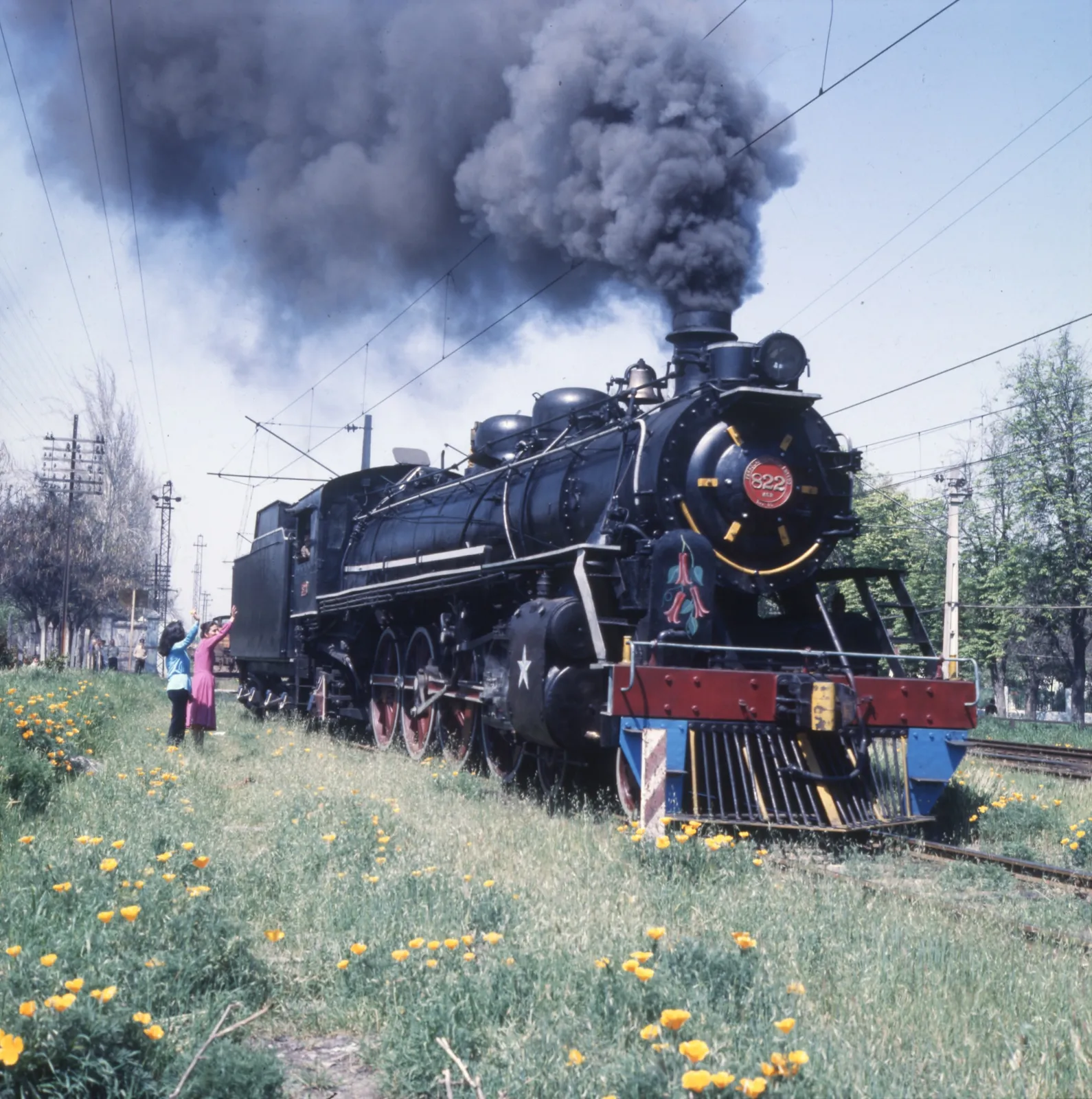 Locomotora a vapor en 1980