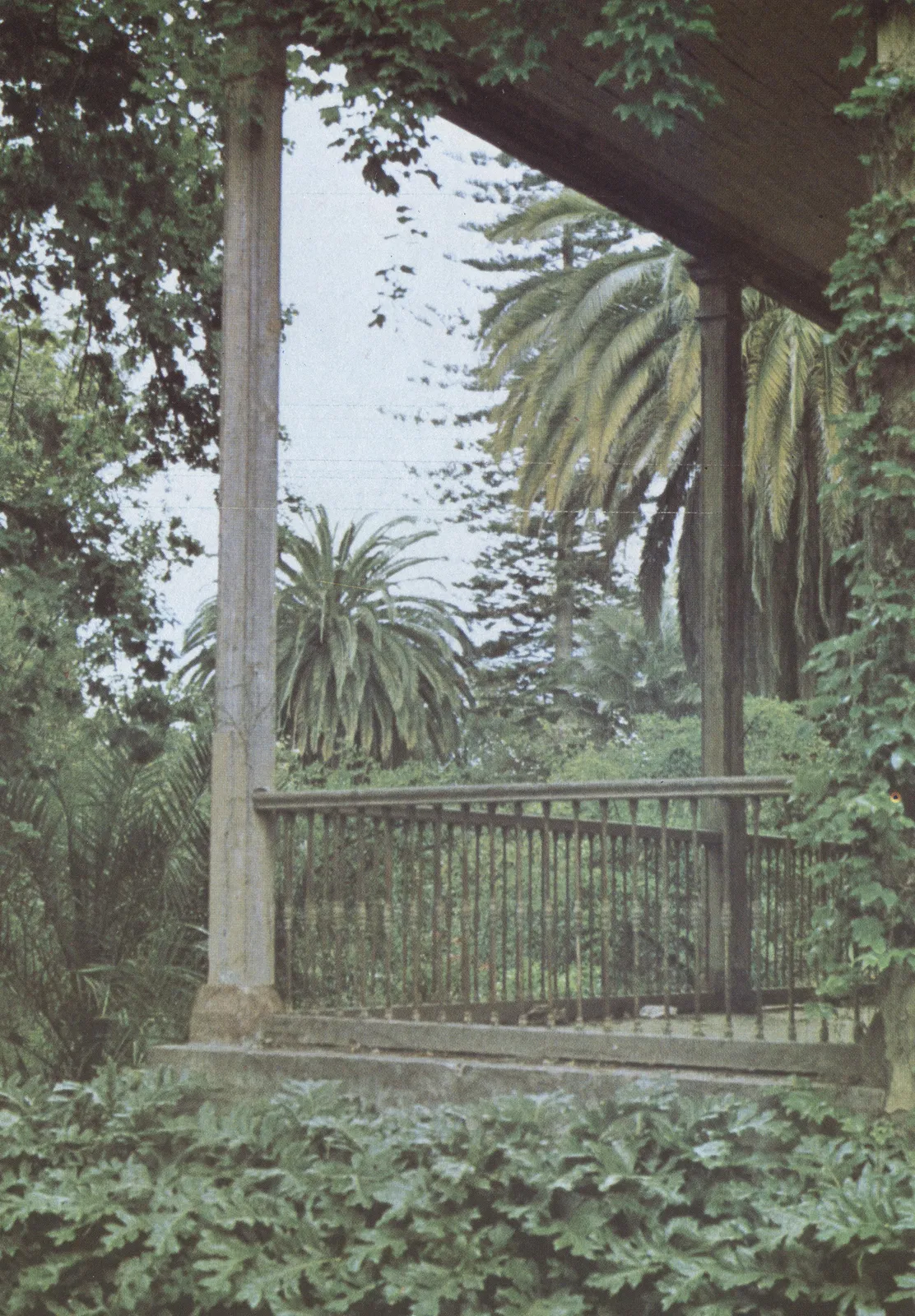 Paisaje rural en 1990
