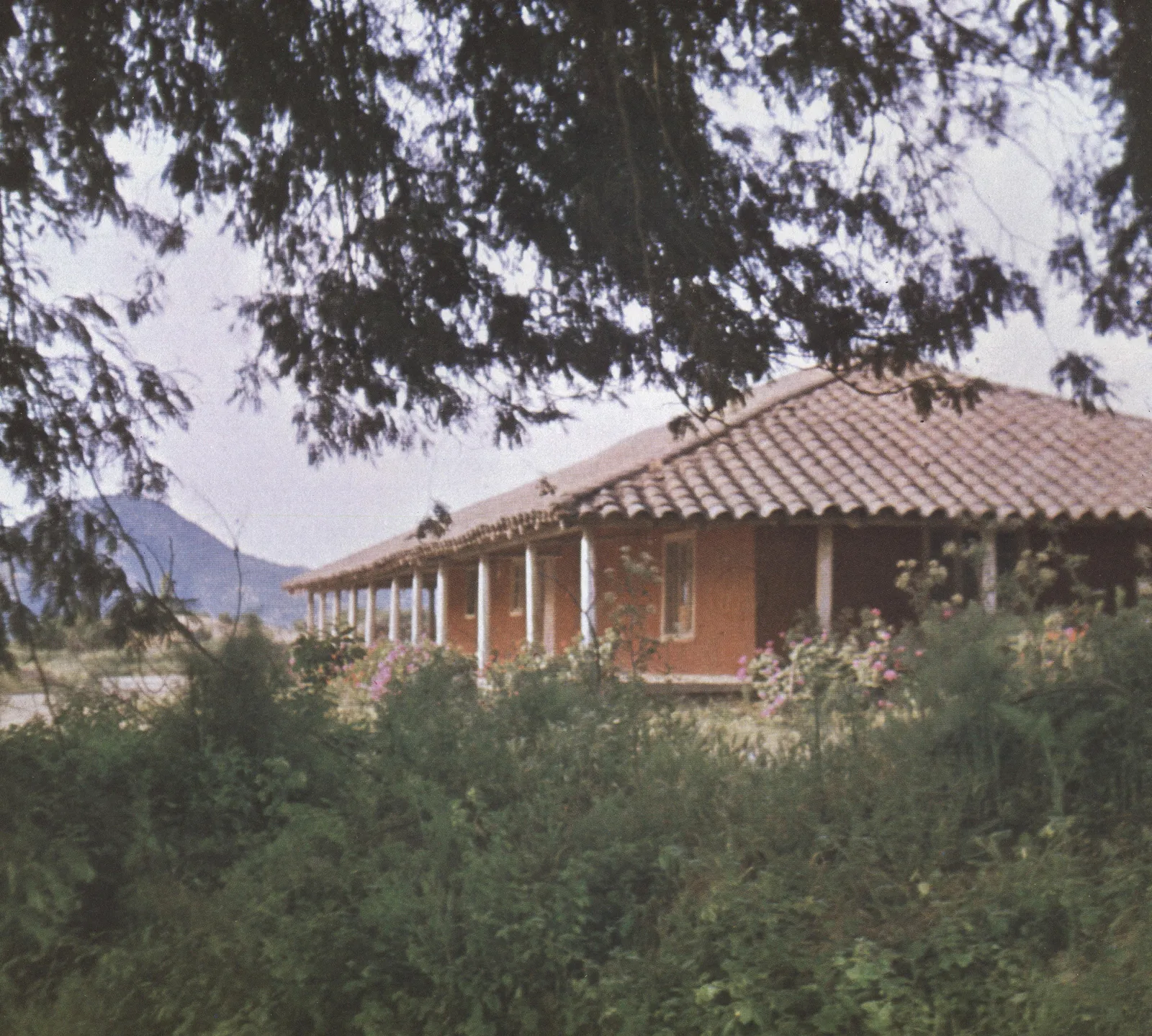 Paisaje rural en 1990