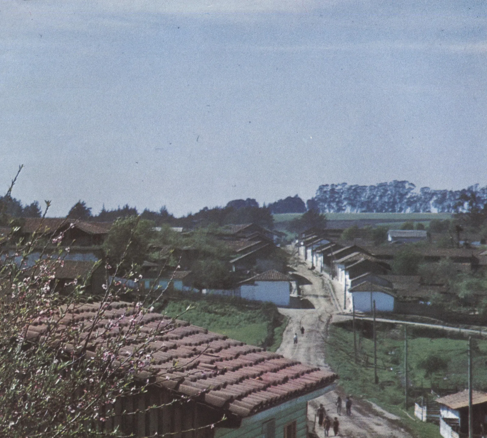 Paisaje rural en 1990