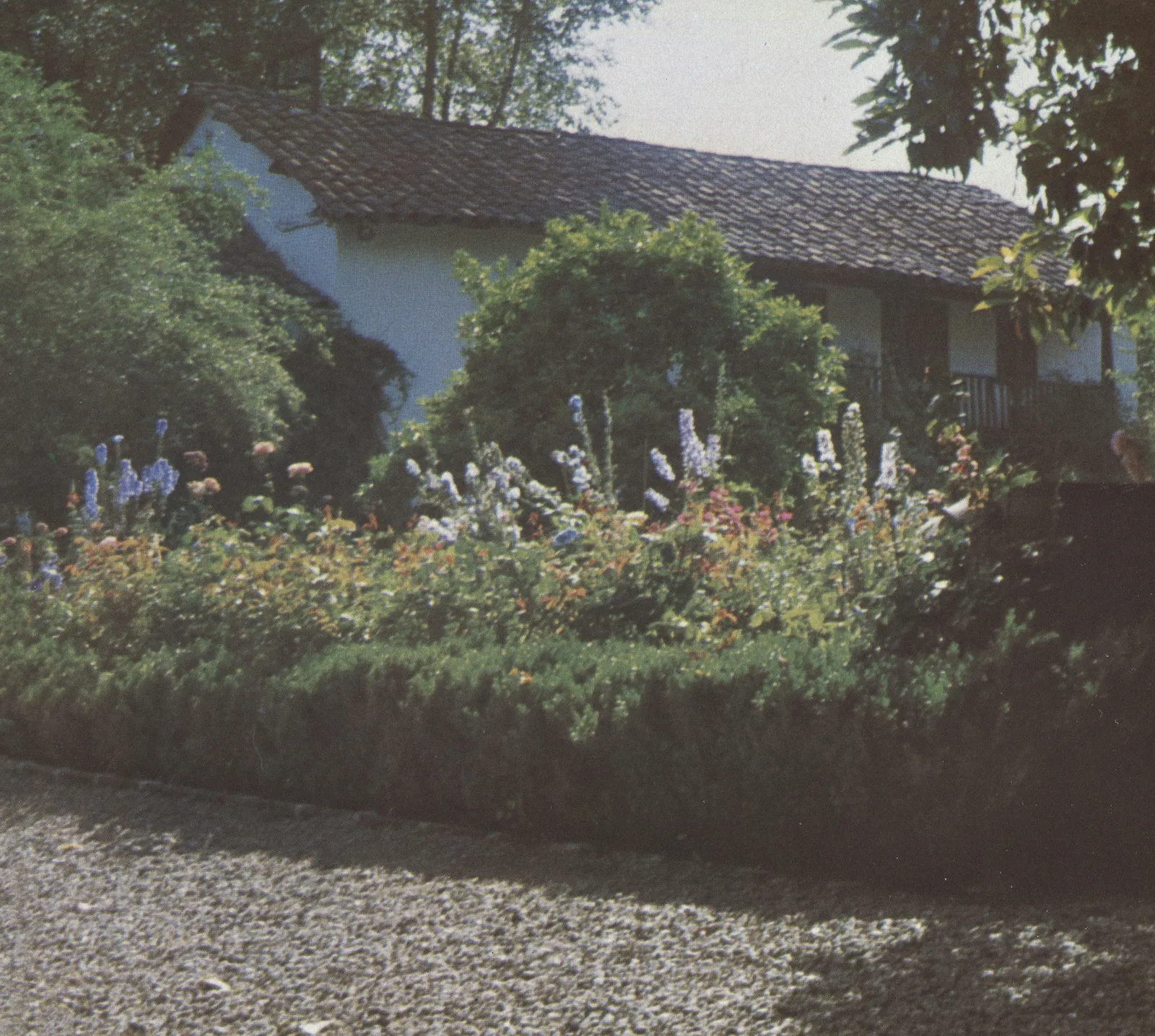 Paisaje rural en 1990