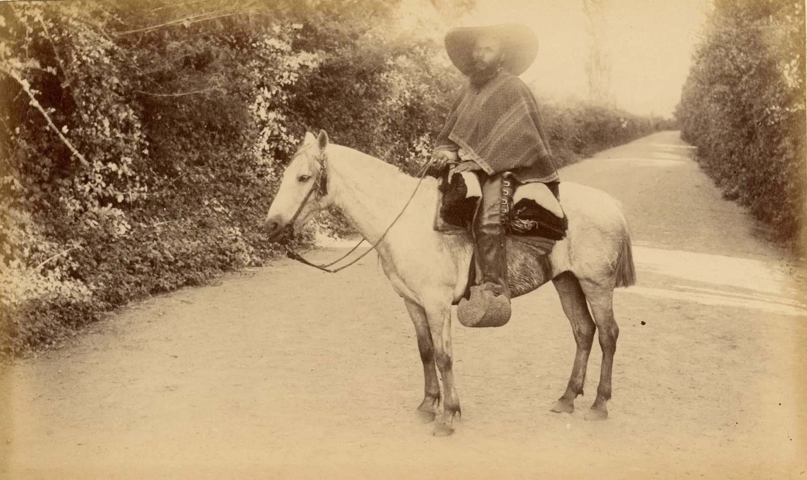 Hombre a caballo, zona central, 1888