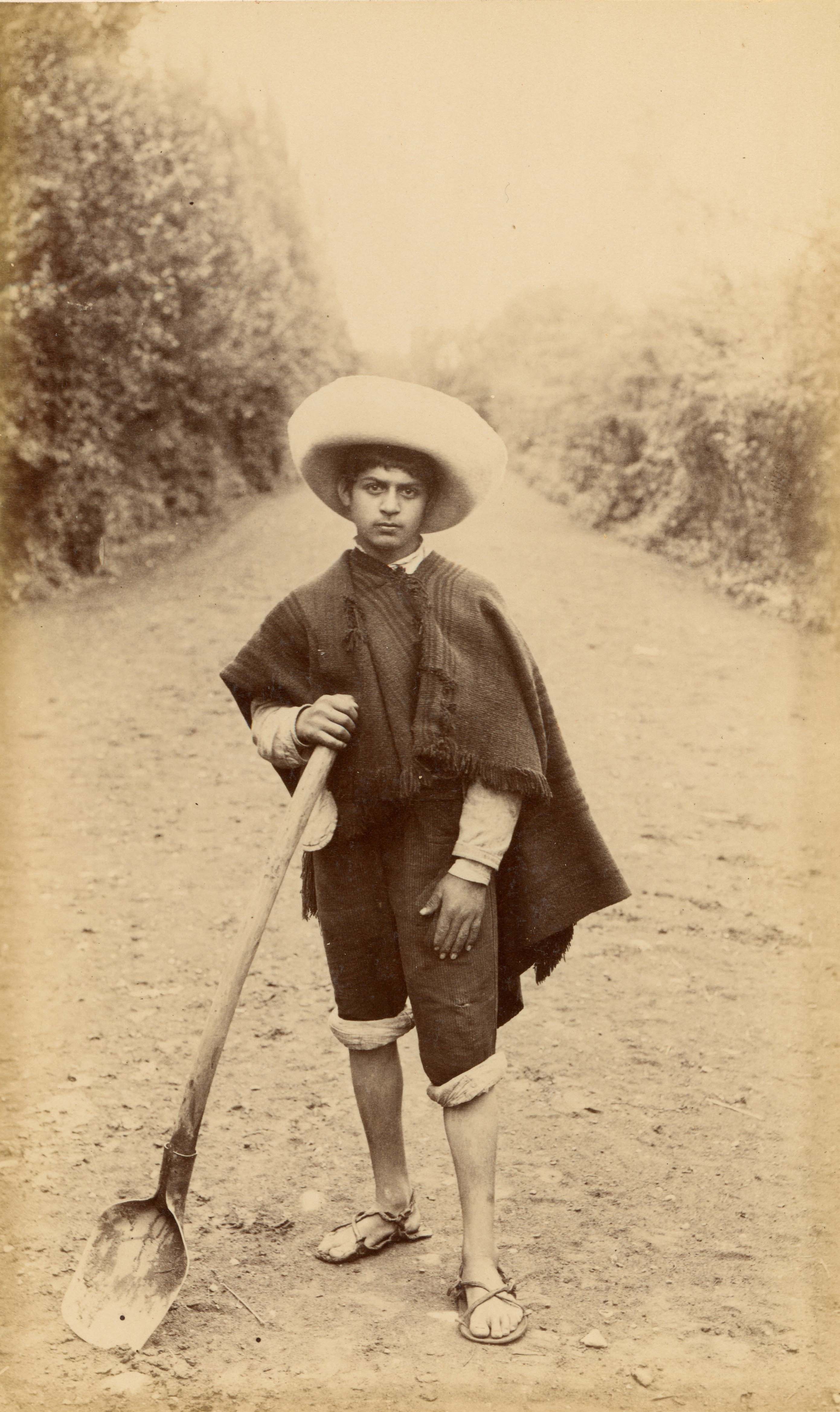 Joven campesino, zona central, 1888
