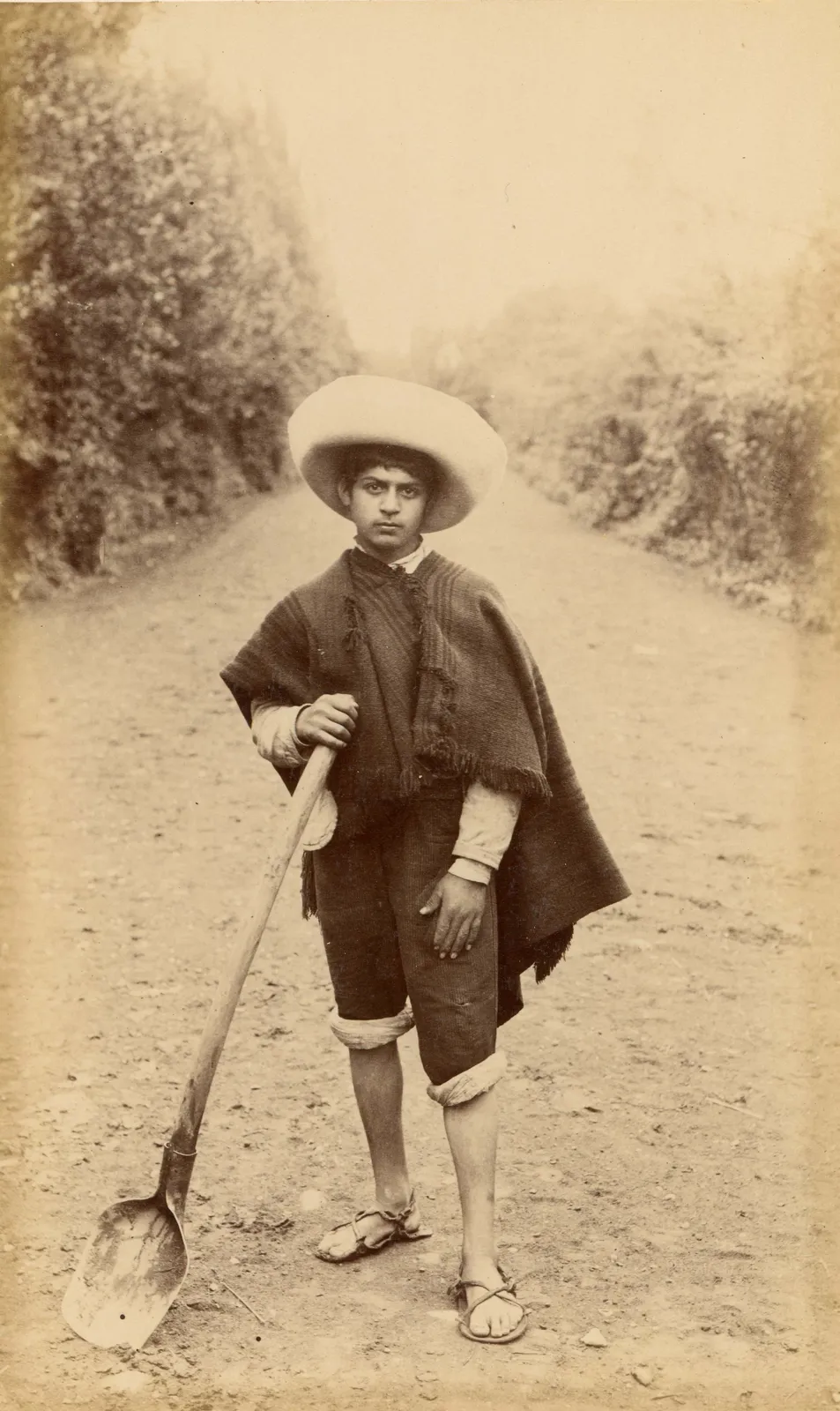 Joven campesino, zona central, 1888