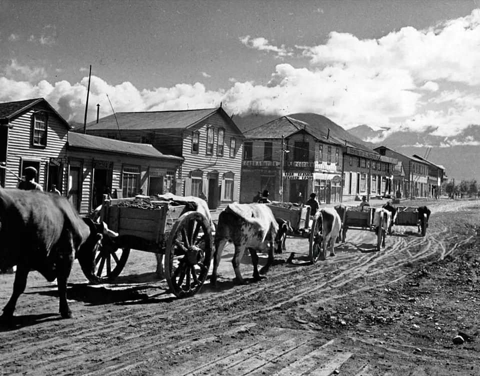 Carretas en puerto Aysén, 1945