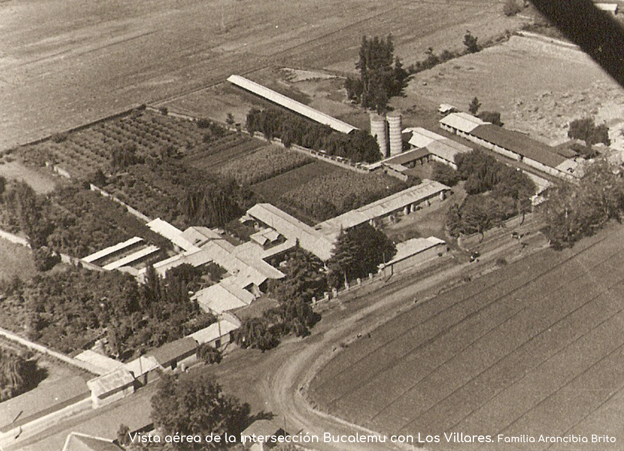 Cruce el Real de Bucalemu y Los Villares, 1950