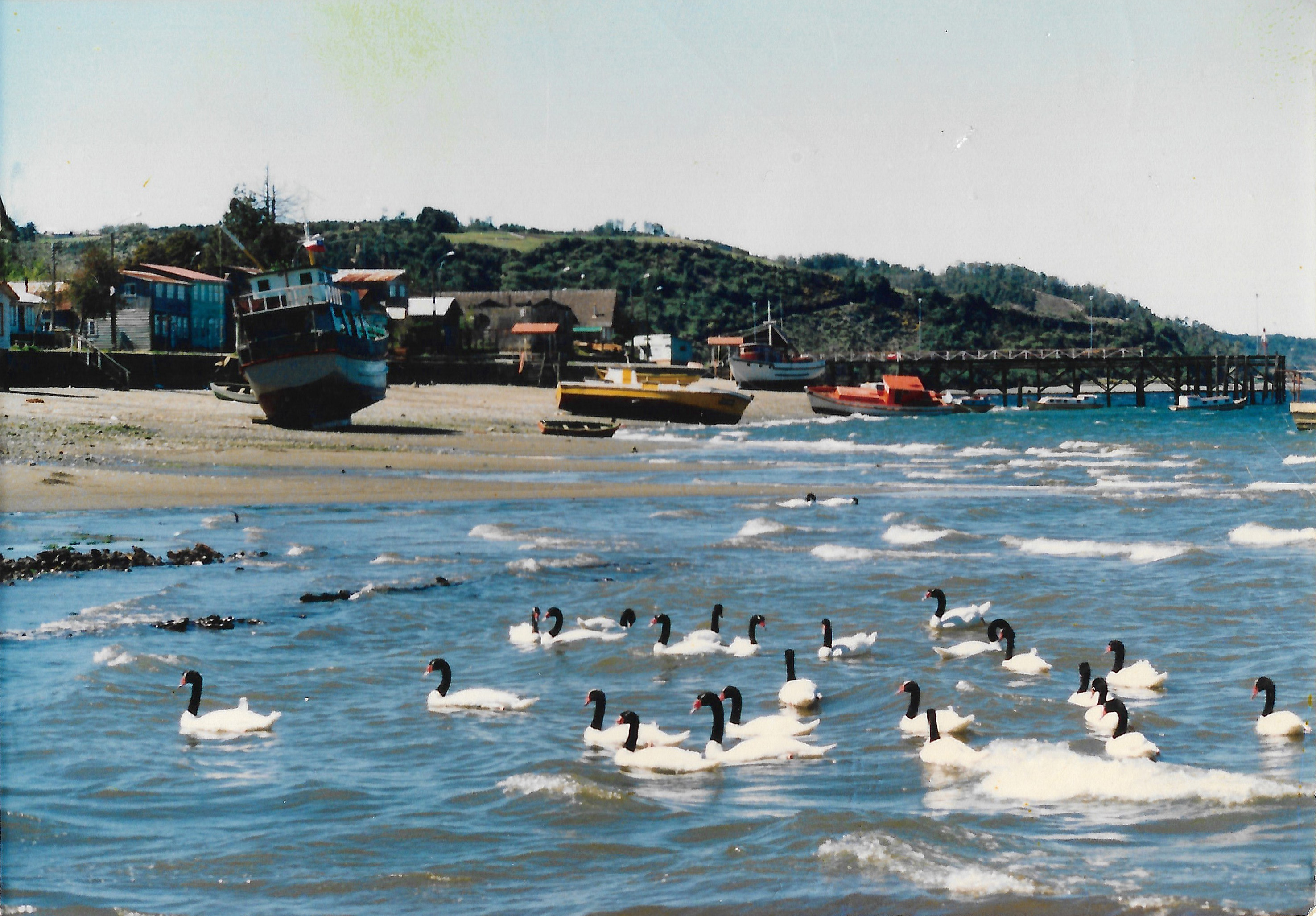 Playa de Quemchi en 1991