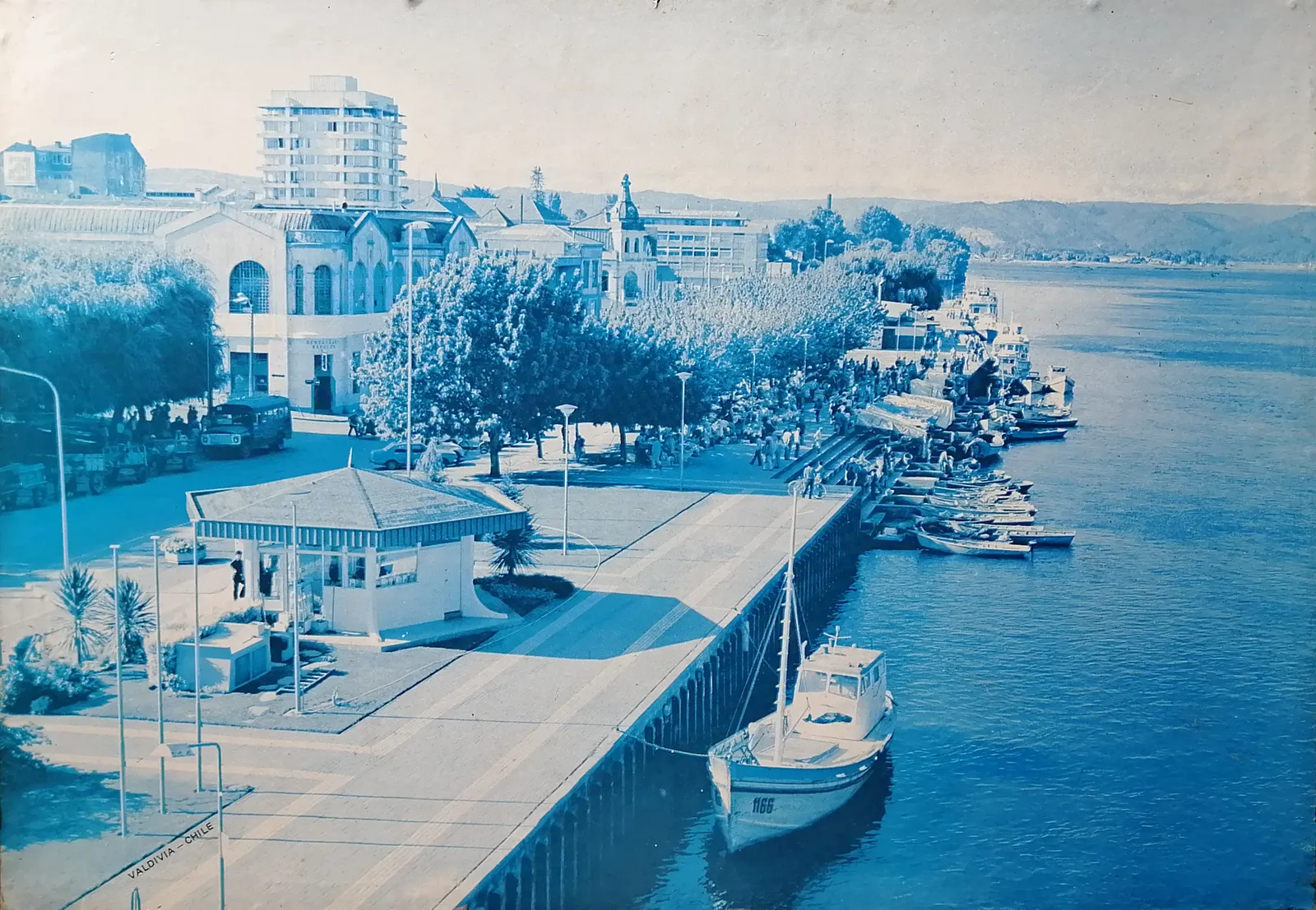 Muelle en Río Calle-Calle, Valdivia en 1980