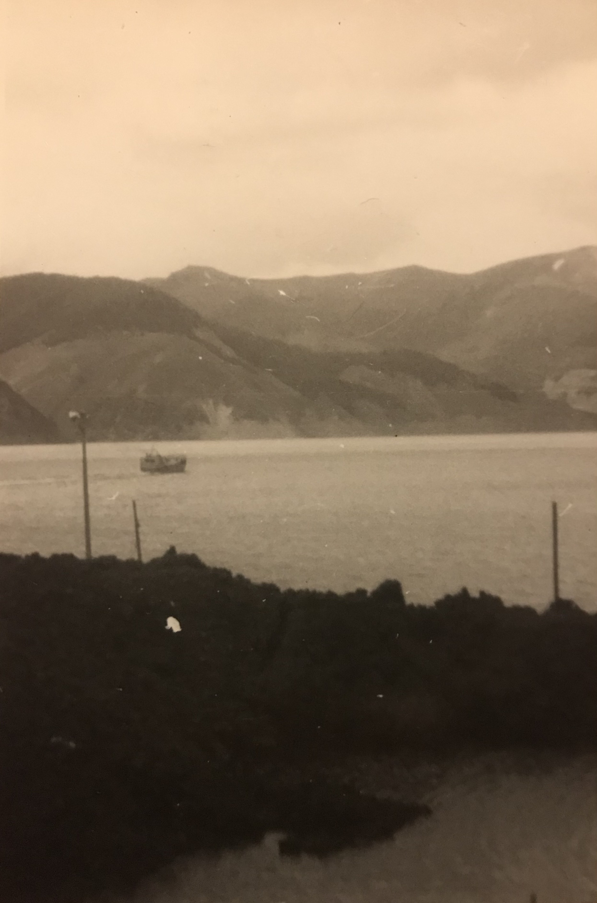 Laguna del Laja 1978