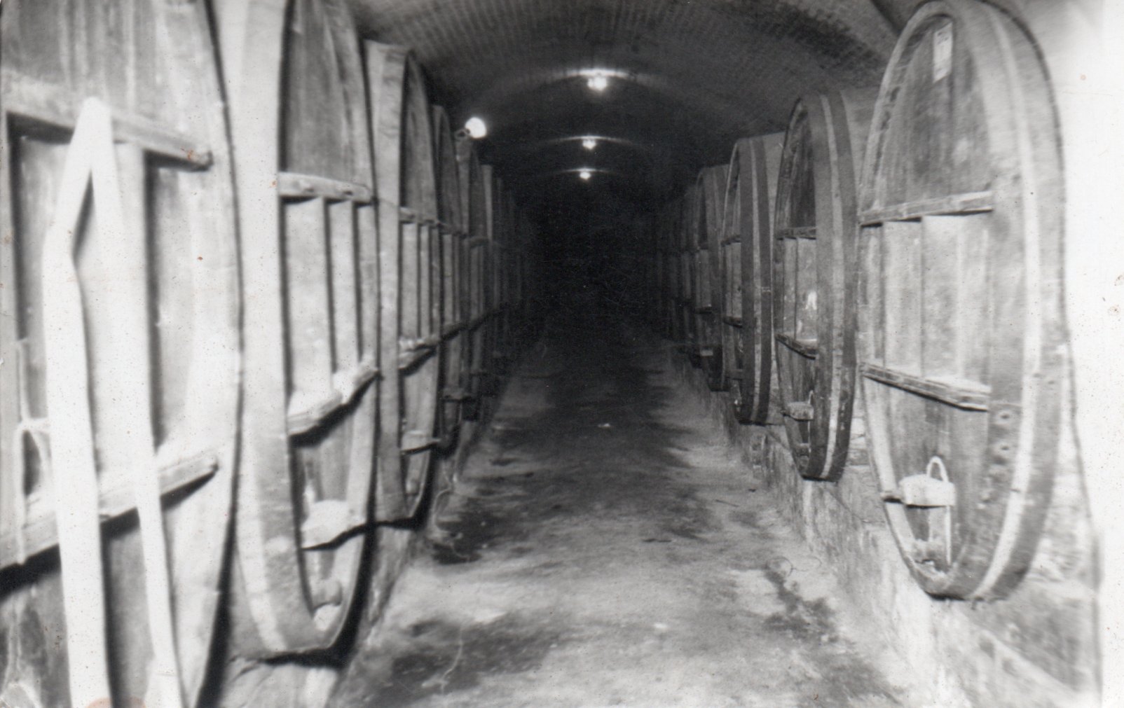 Viña Errazuriz en 1940