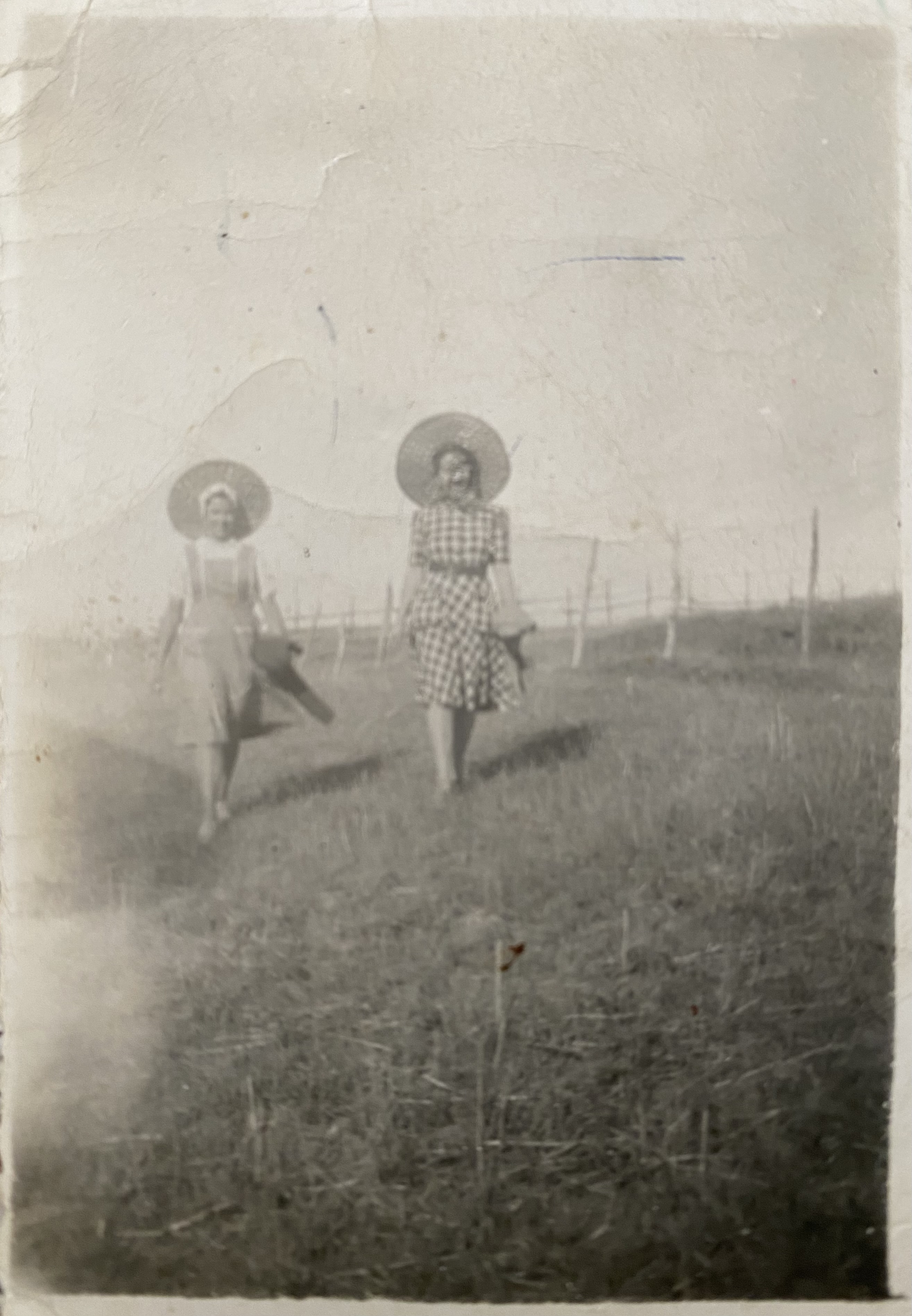 Día de campo en Fundo Llollehue , 1940