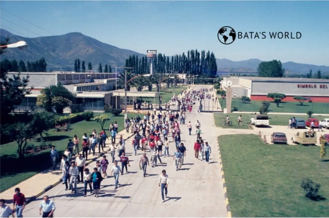 Soinca Bata, Melipilla, 1970
