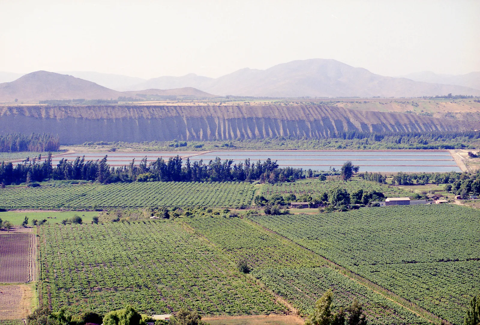 Valle del Limarí, 2000