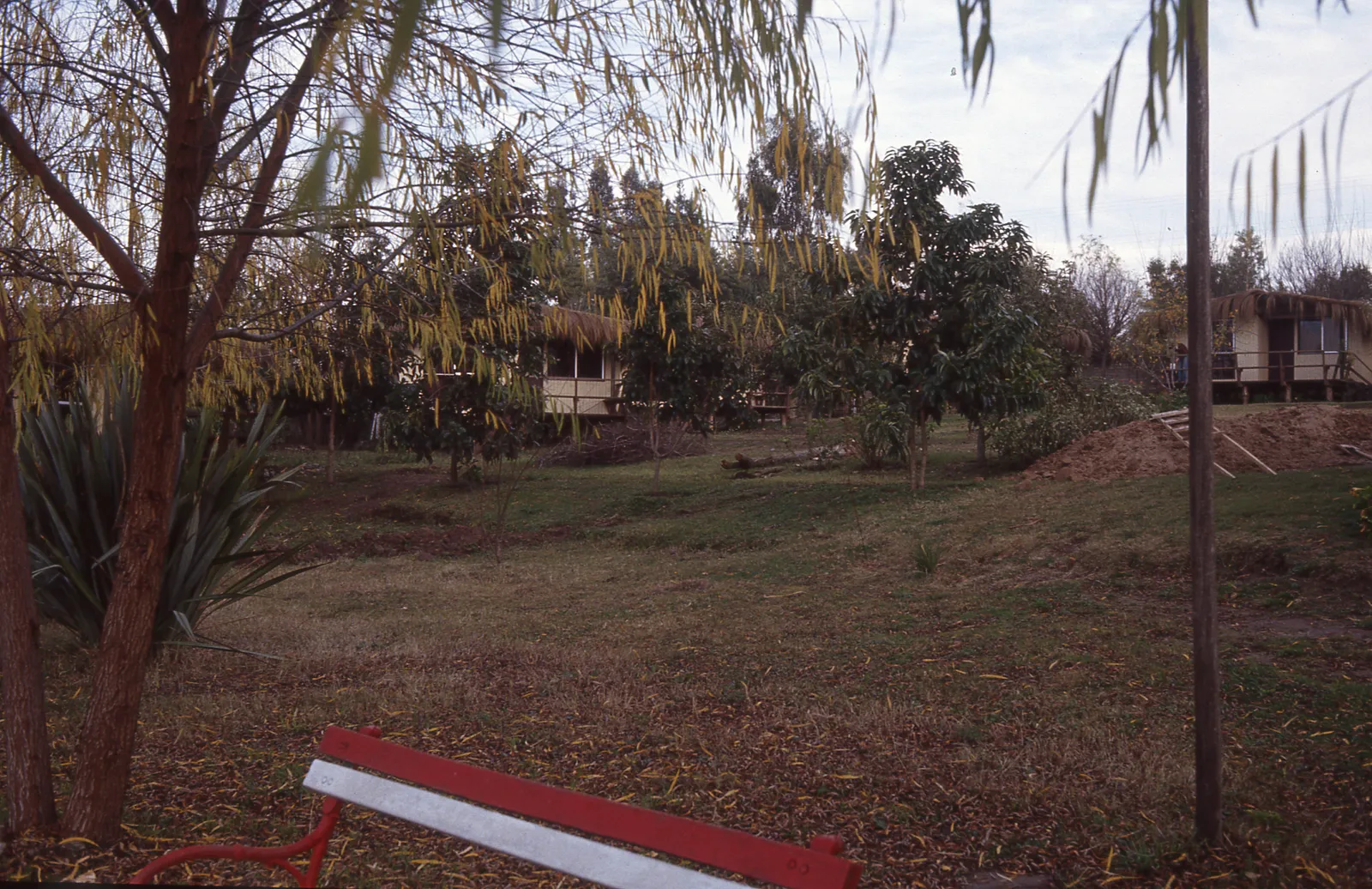 Marina de Rapel, 1983