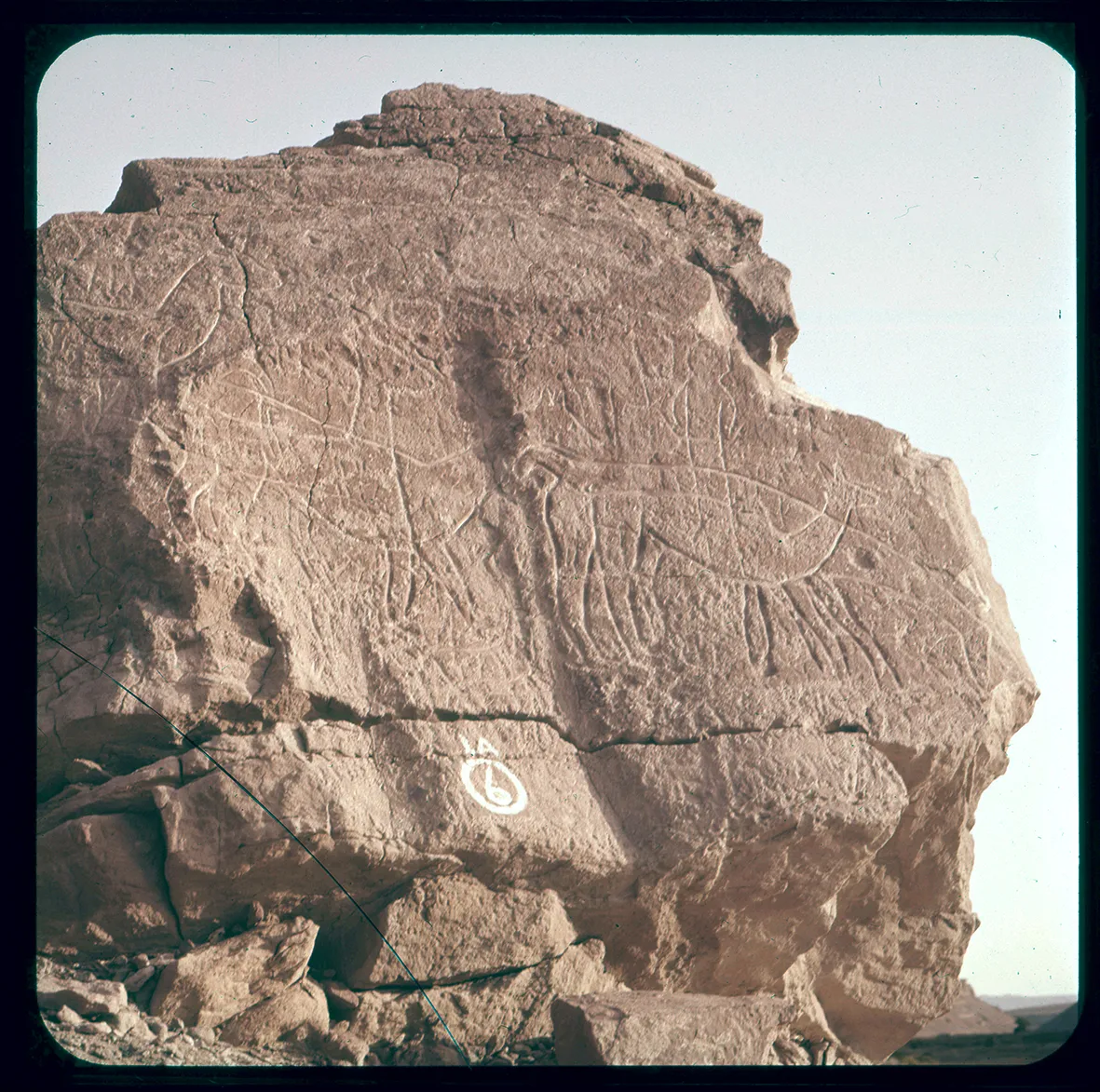 Petroglifos del Valle de Lasana, Calama, Región de Antofagasta, Chile, 1950 - 1965
