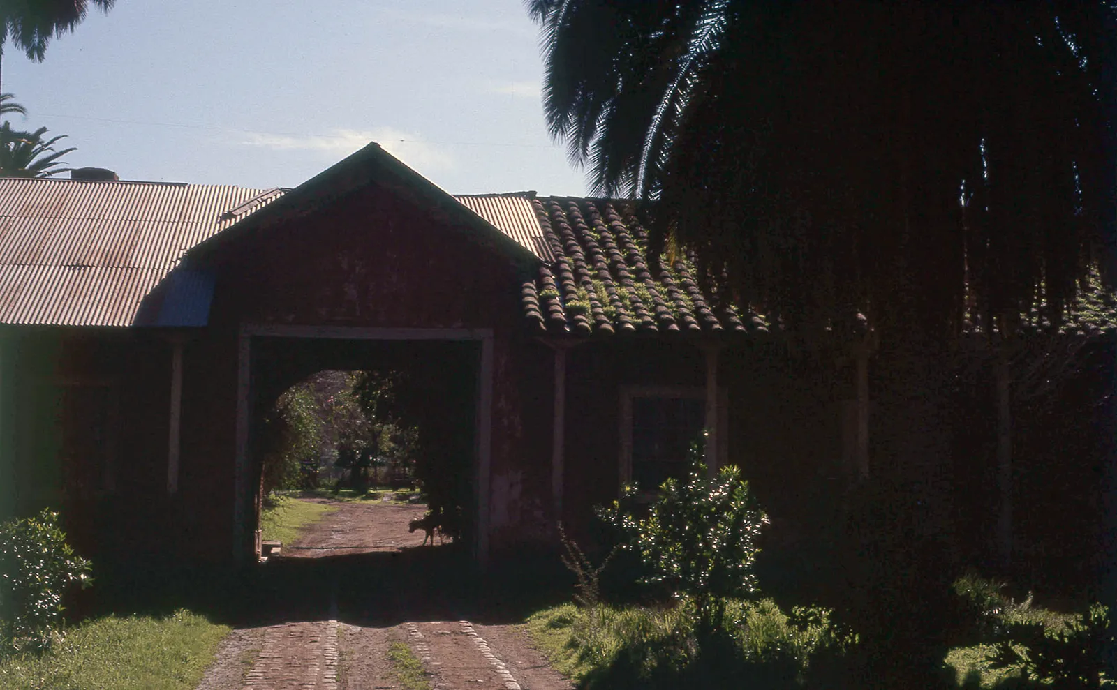 Hacienda Chacabuco, Colina, 1983