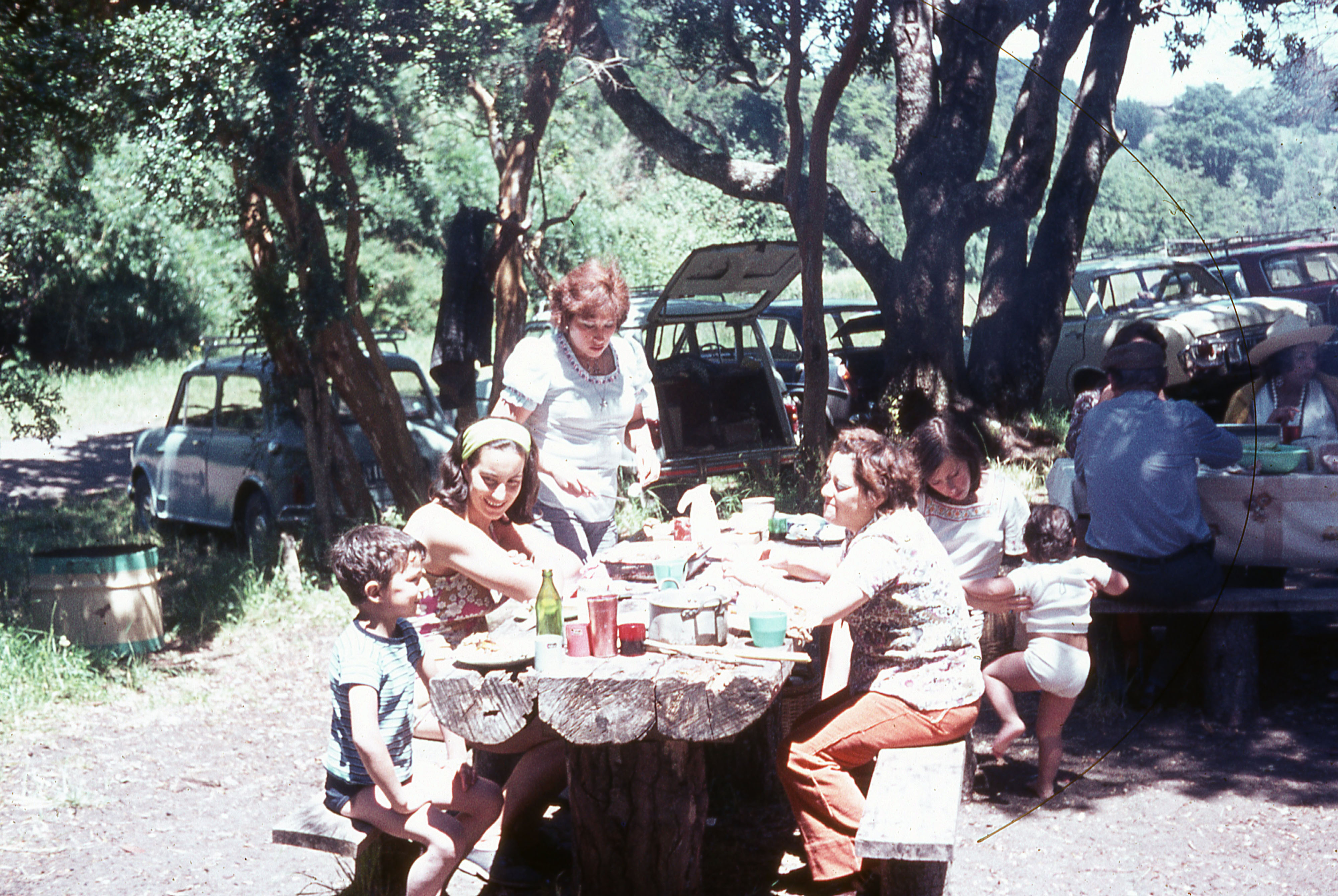 Almuerzo en un bosque, ca. 1975