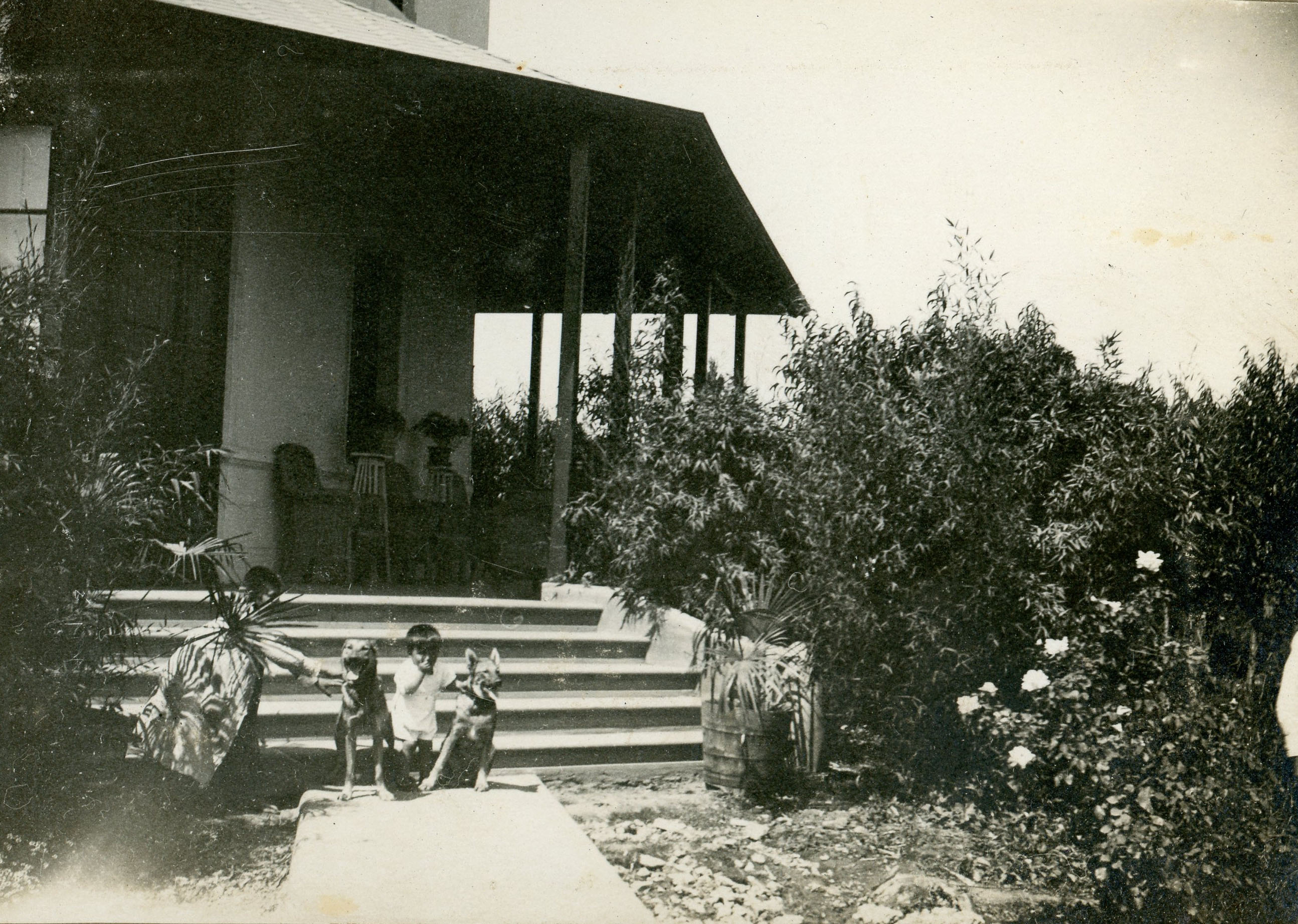 NIño y perros en Providencia, Miguel Claro 584, año 1919