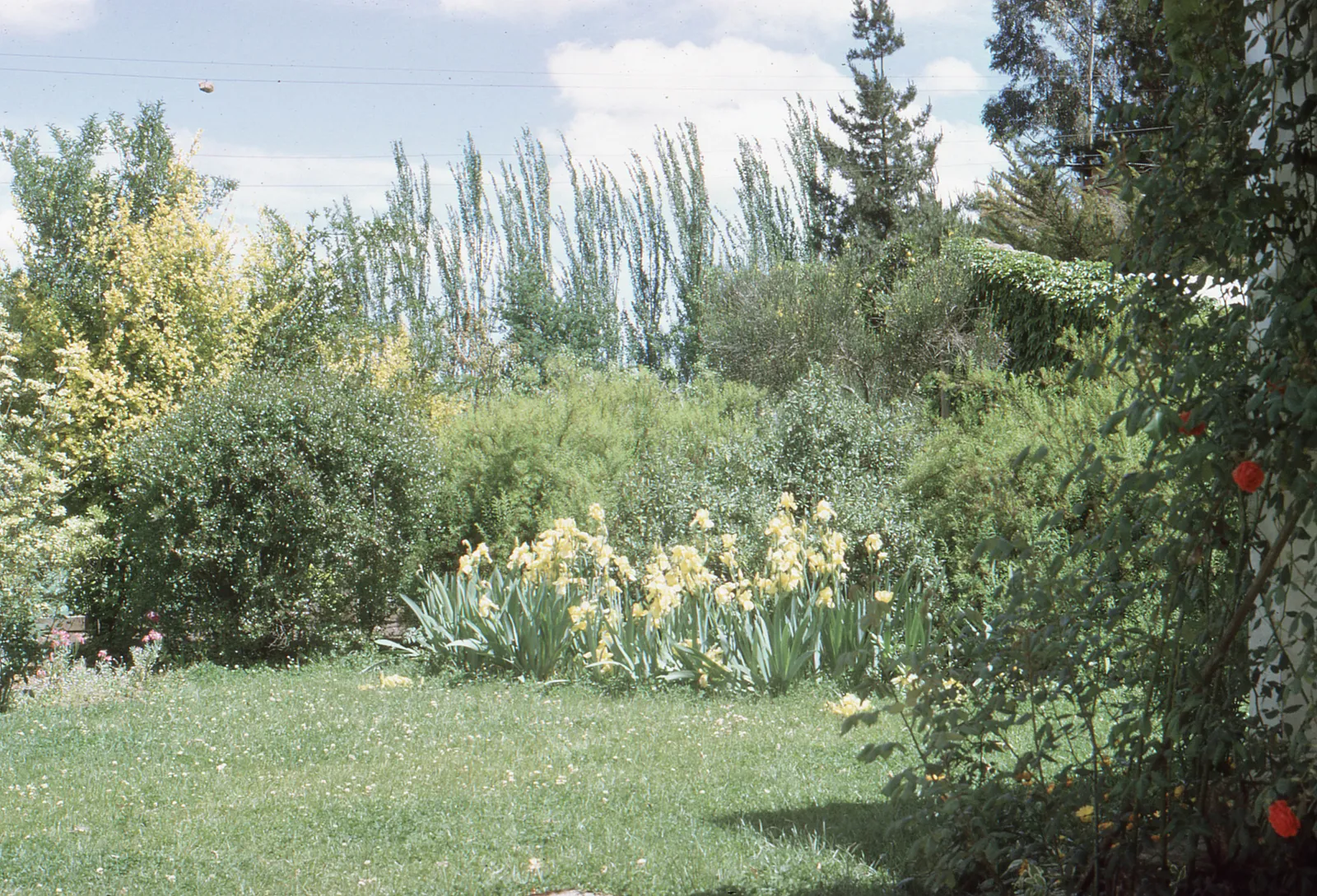 Jardín en 1966