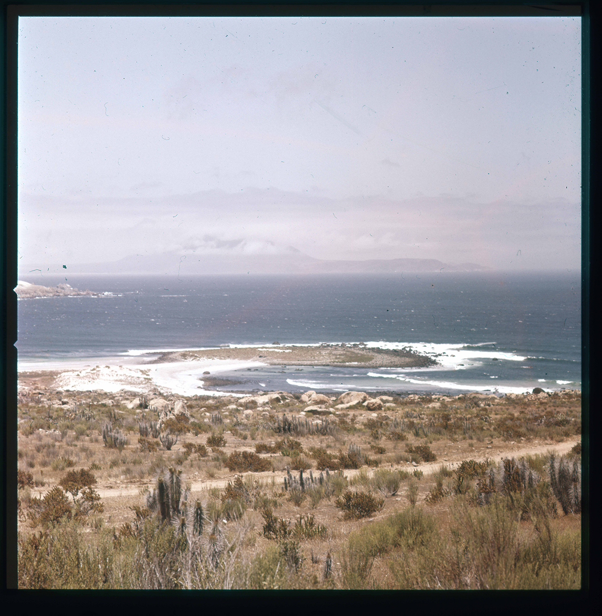 Playa de Totoralillo, Coquimbo, Región de Coquimbo, Chile, 1950 - 1965