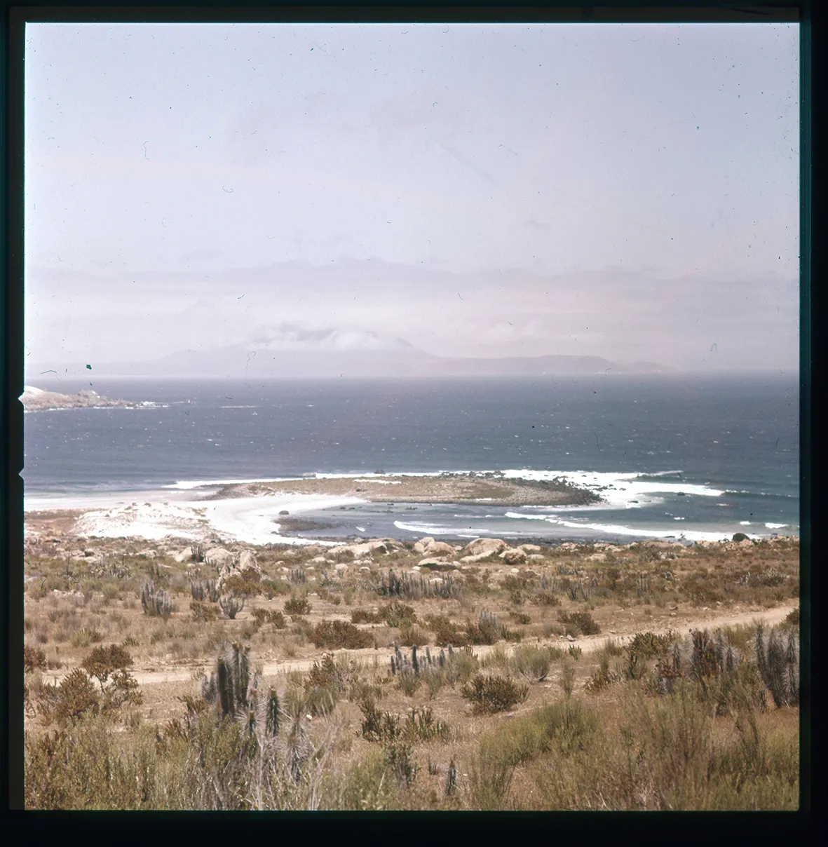 Playa de Totoralillo, Coquimbo, Región de Coquimbo, Chile, 1950 - 1965