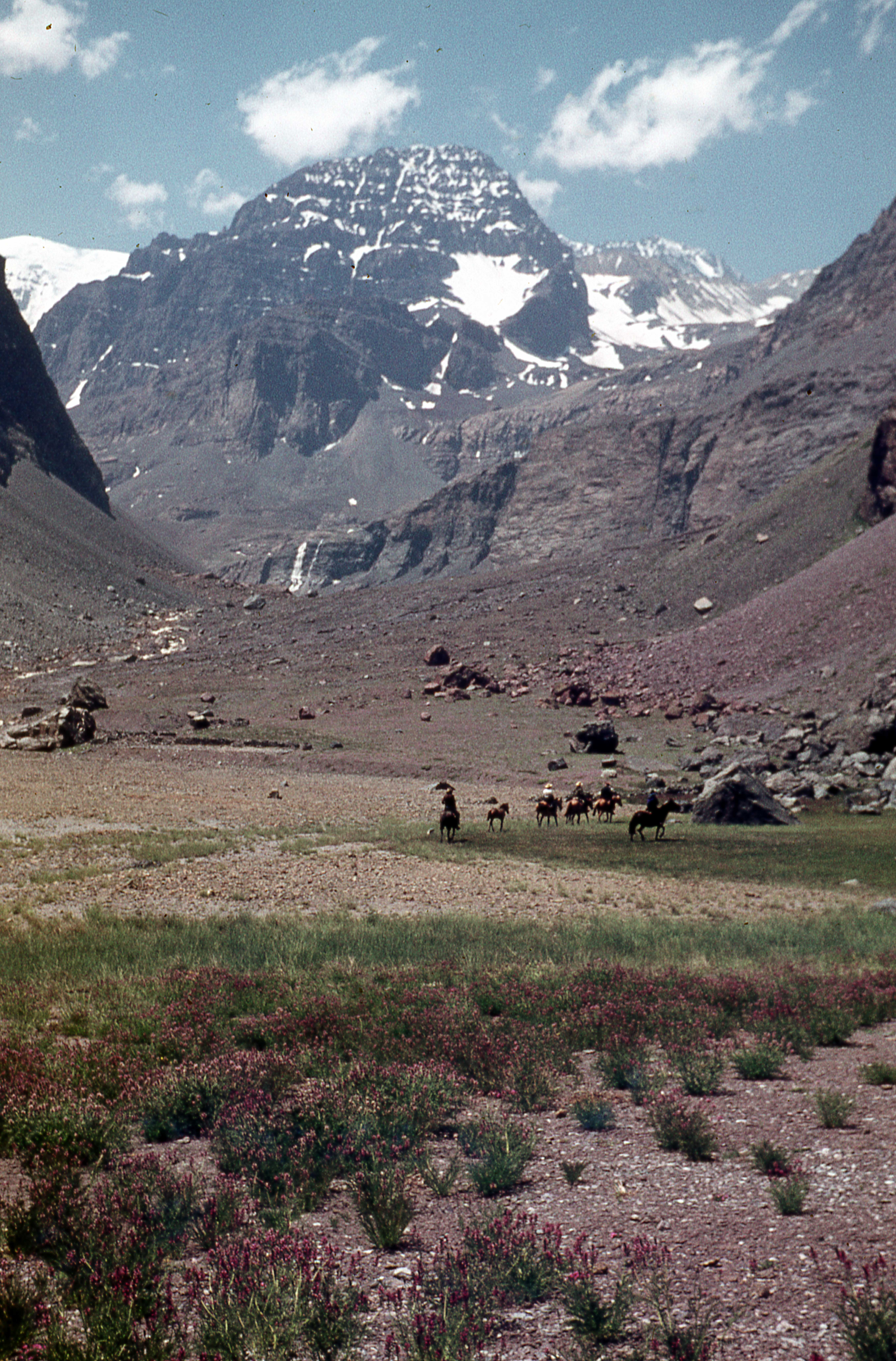 Paseo al Cerro La Paloma, 1978