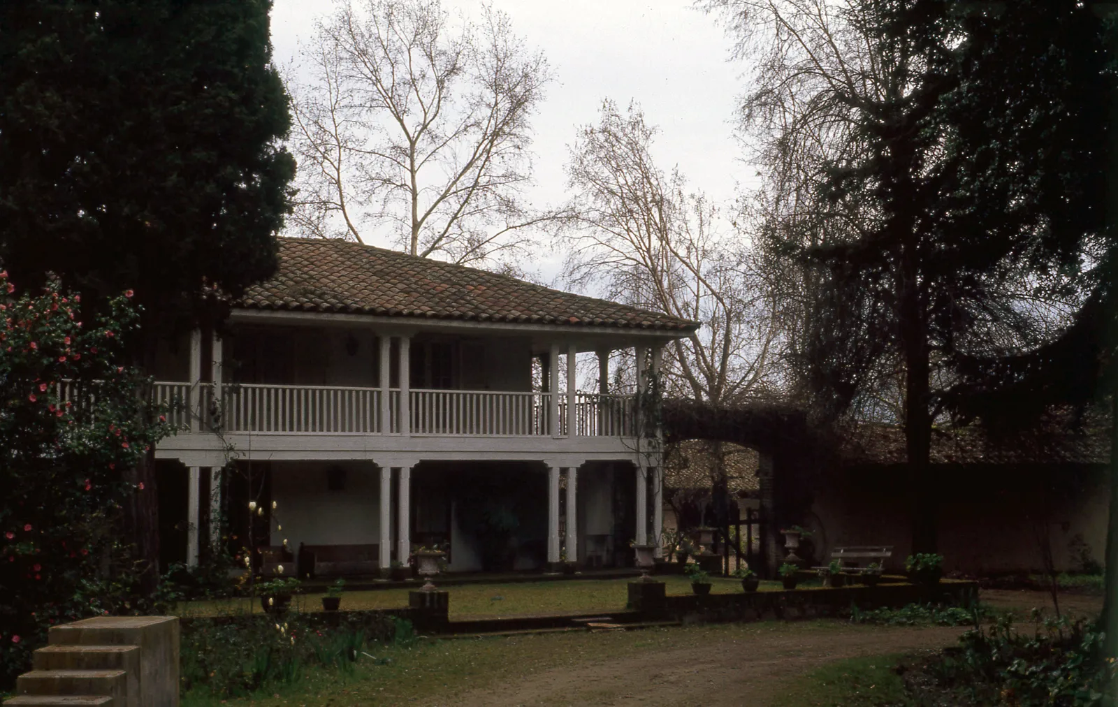 Santa Amelia desde el camino, Pichidegua, 1983