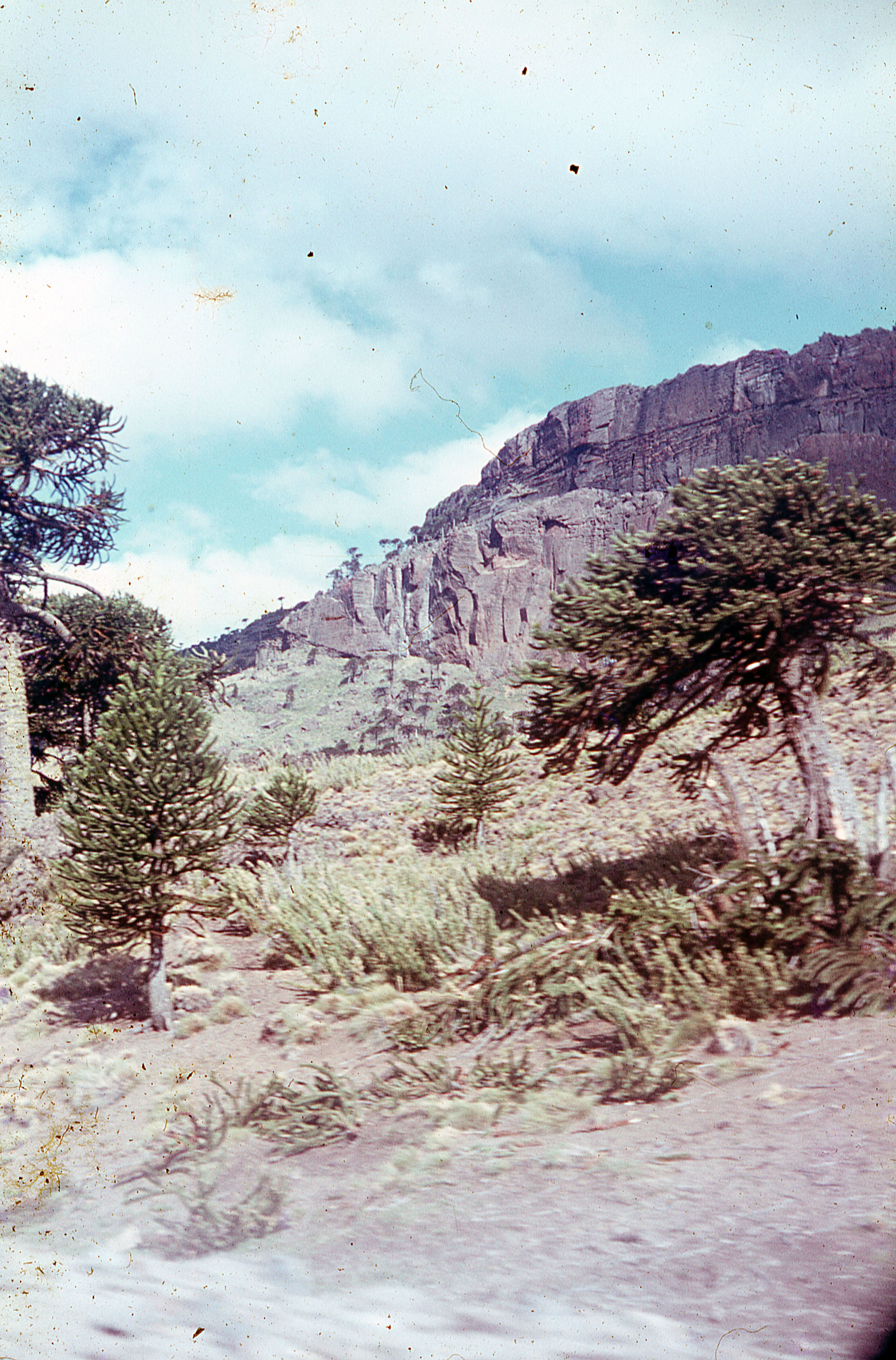 Paisaje en Chile Chico, ca. 1965