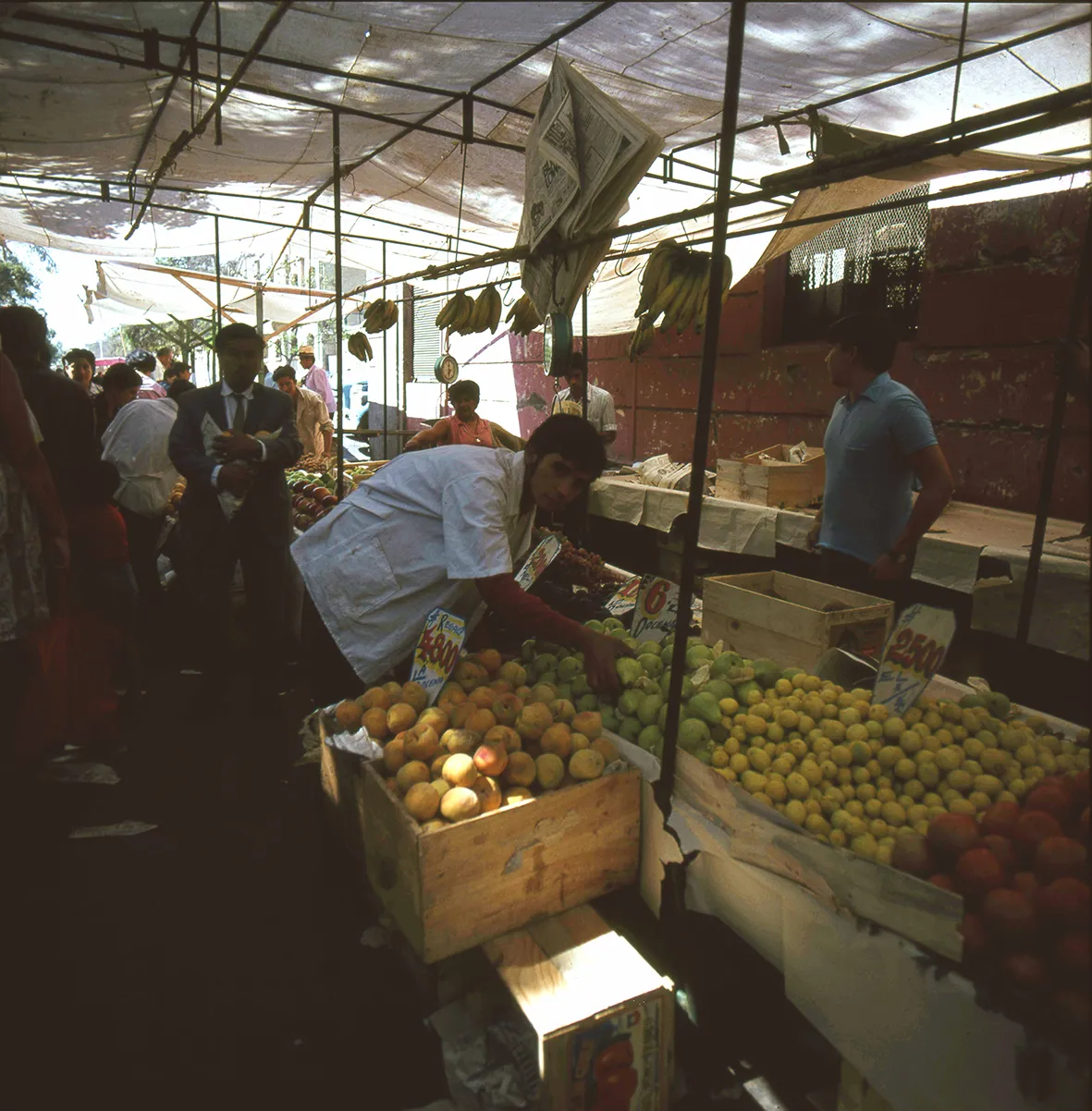 Feria de fruta y verdura, Recoleta, Región Metropolitana, Chile, 1950 - 1965
