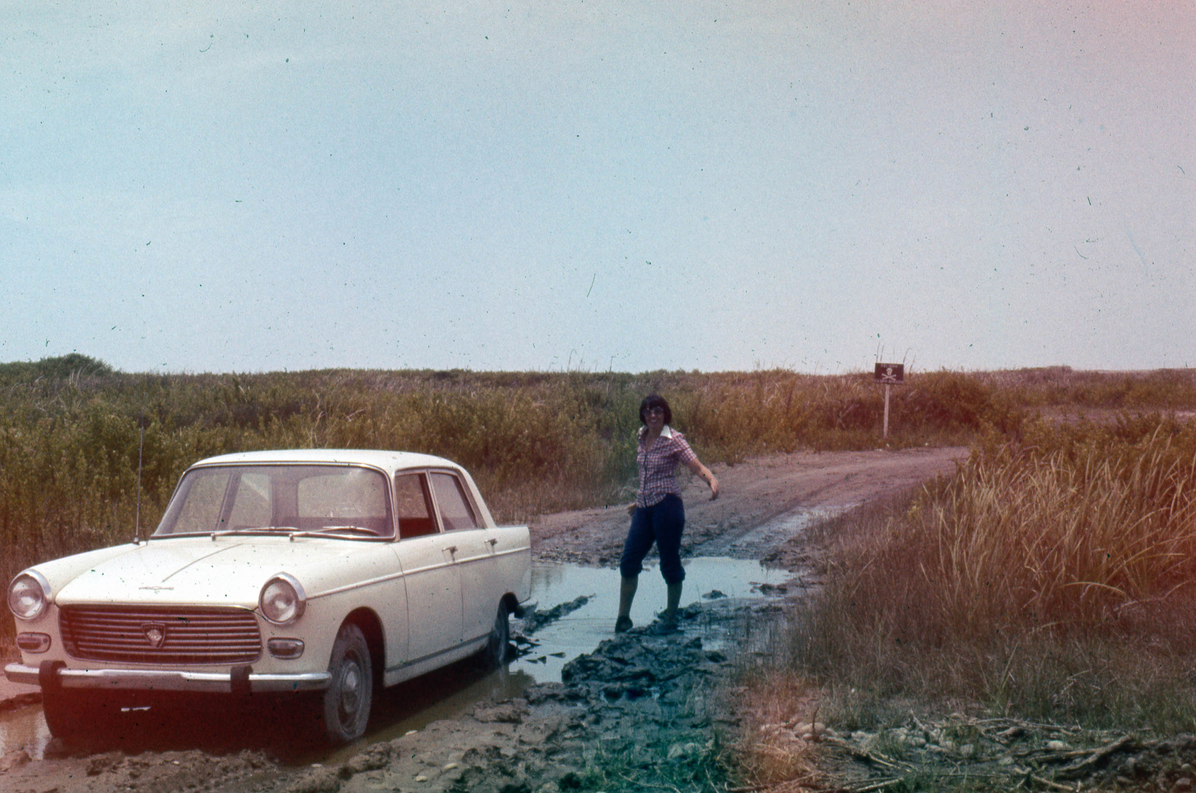 Mujer y automóvil, Región de Arica, 1968