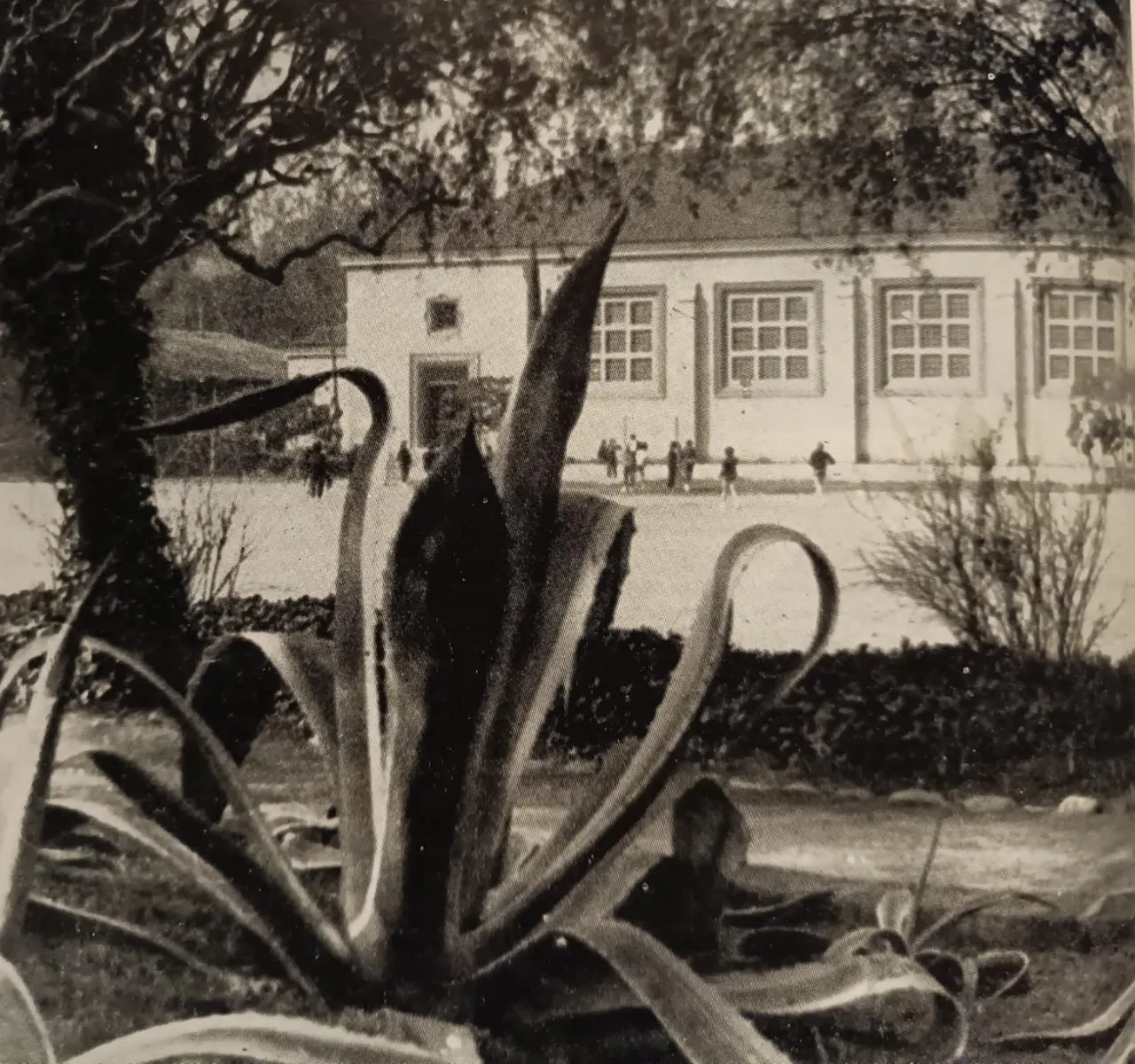 Gimnasio Santiago College en 1962