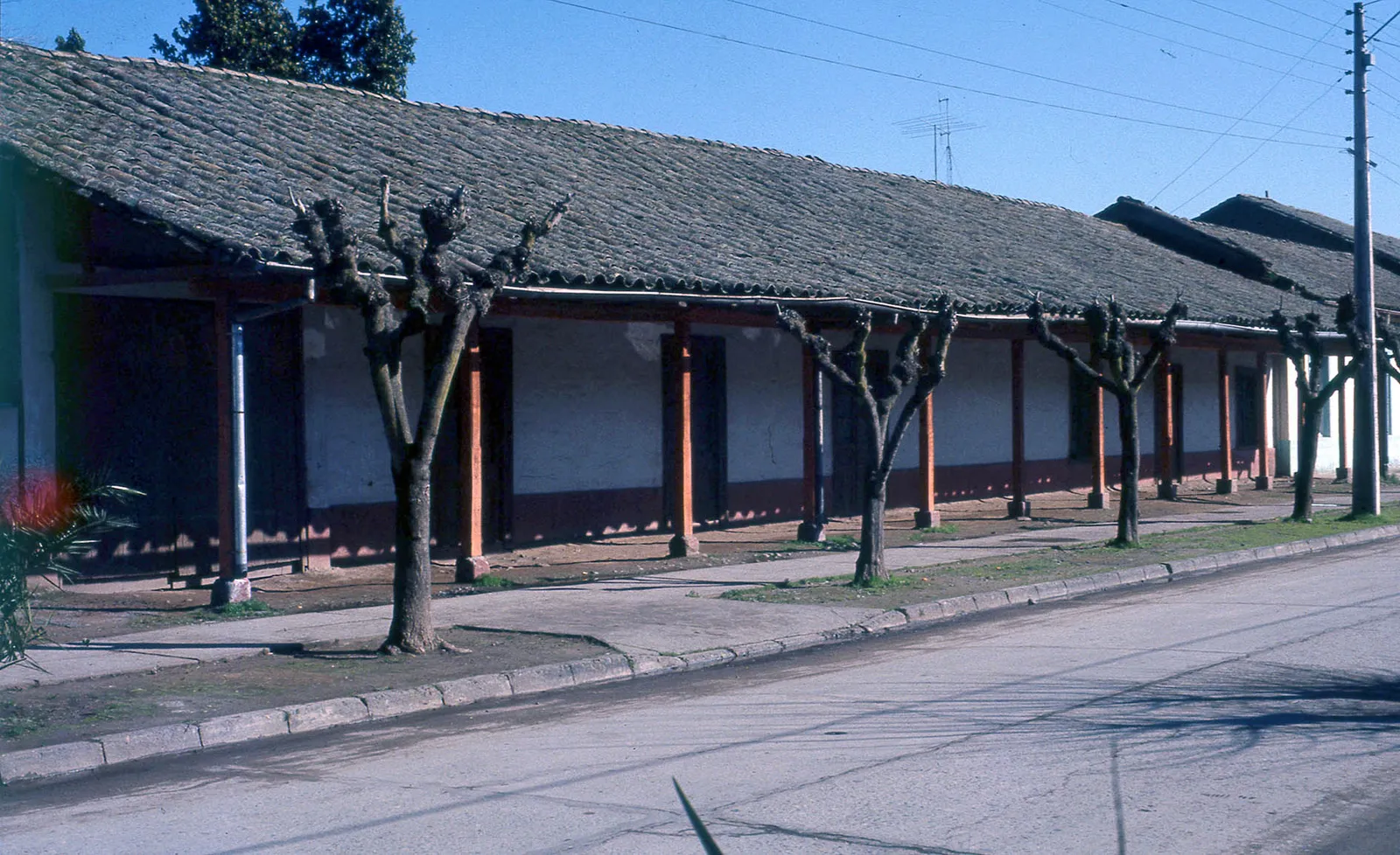 Casonas de Peumo, 1983