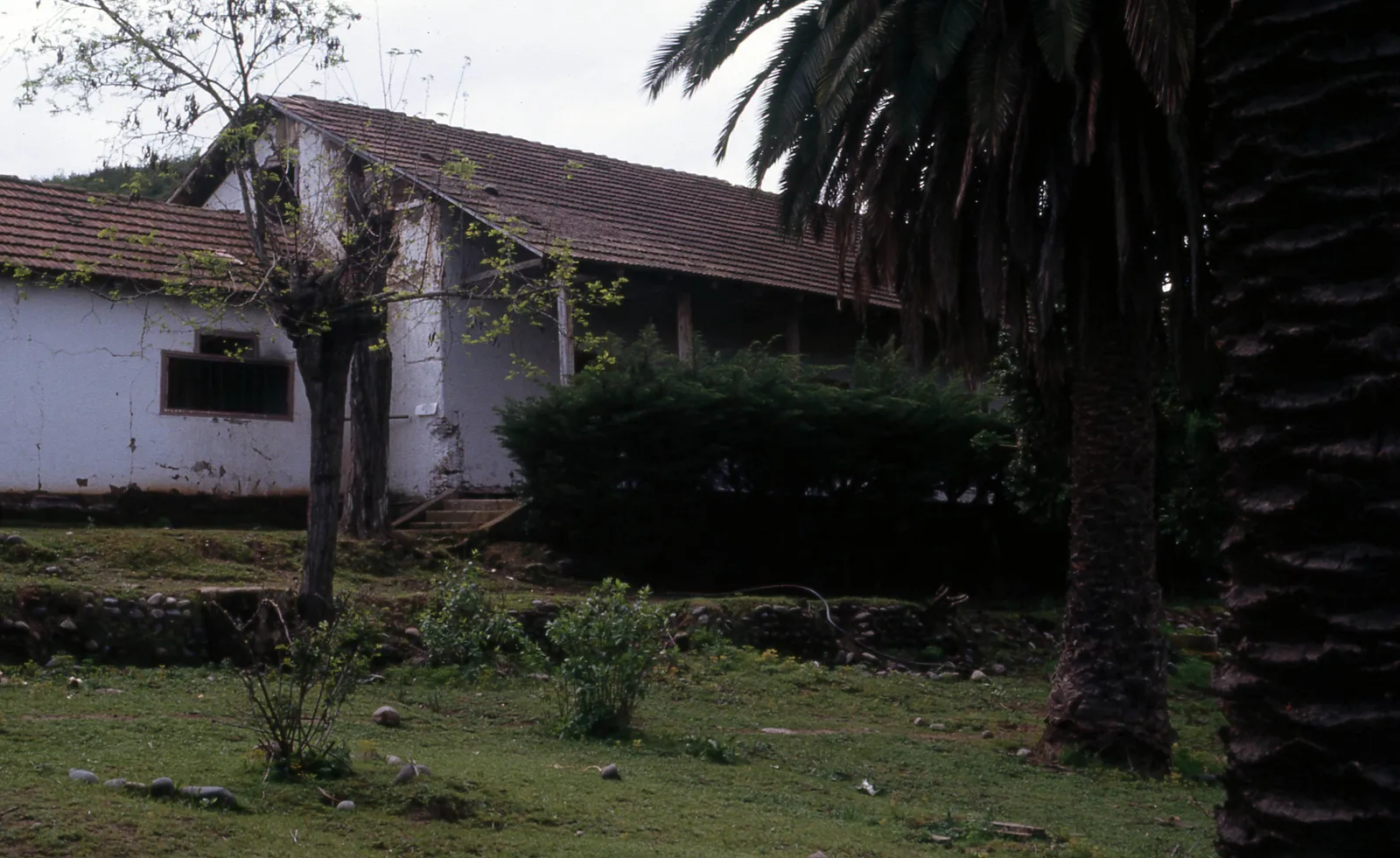 Fundo el Asilo, Cuncumén, 1983