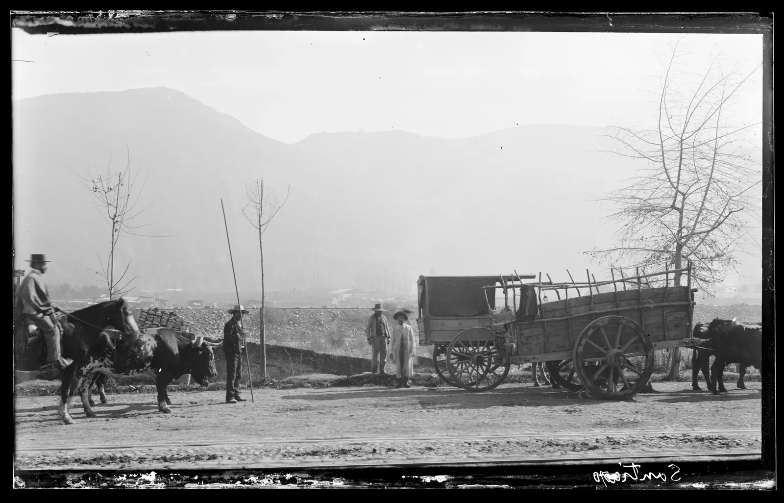 Carretas y bueyes en Santiago, ca. 1904