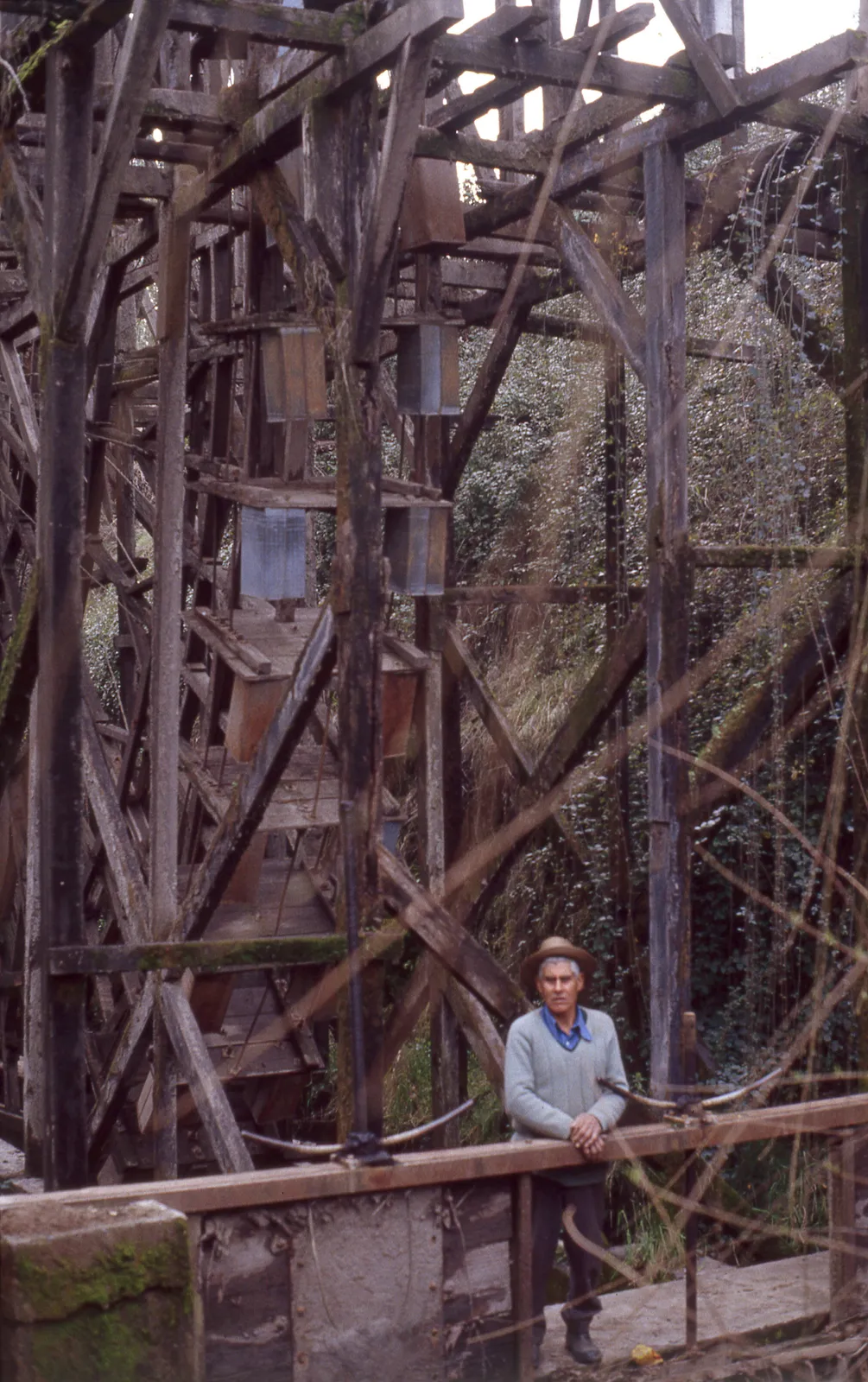 Rueda San Luis, Larmahue, 1983