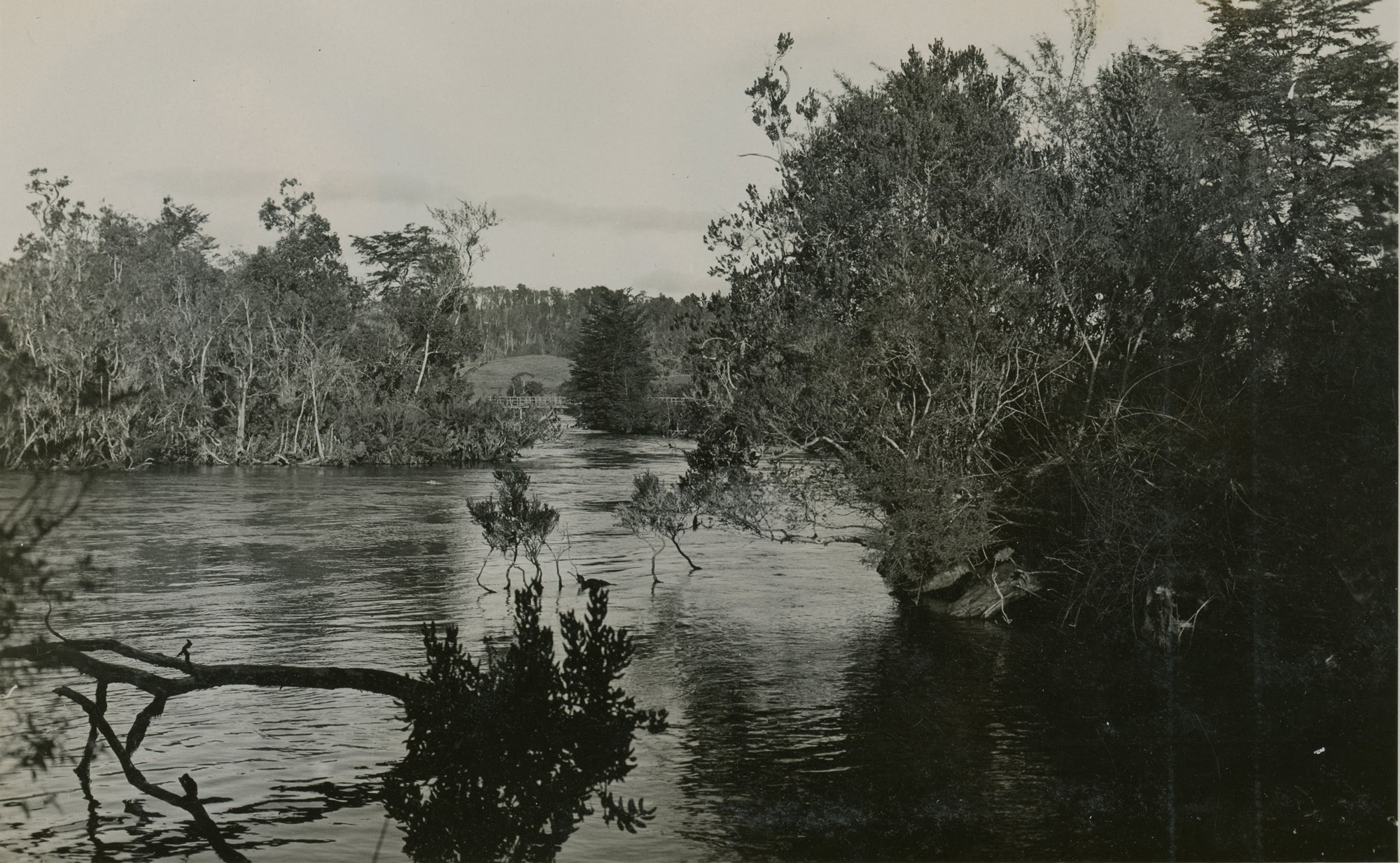 Río Maullin, ca. 1928