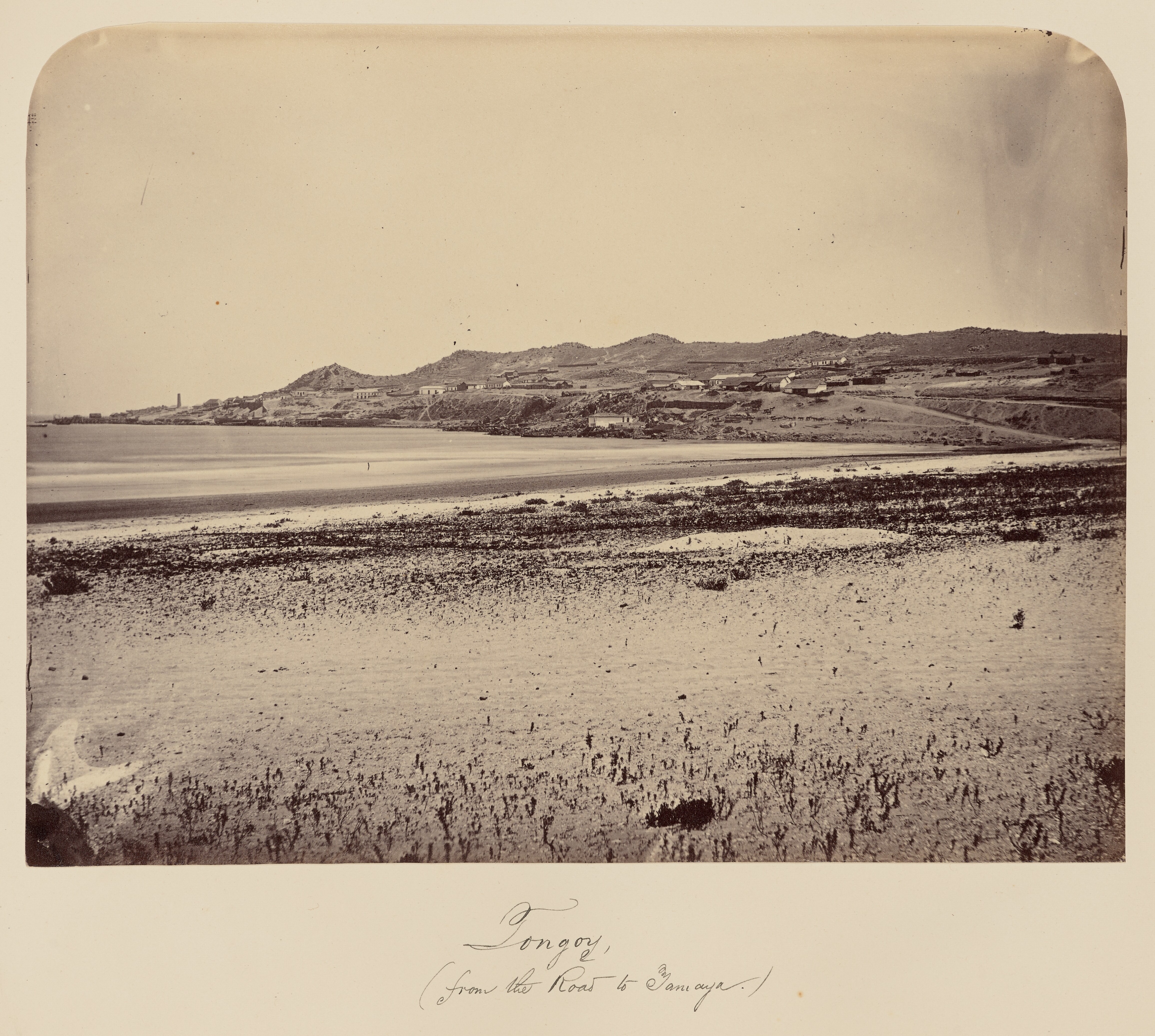 Tongoy, desde el camino a Tamaya, 1860