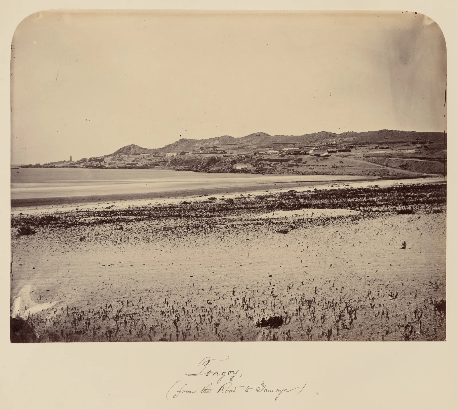 Tongoy, desde el camino a Tamaya, 1860