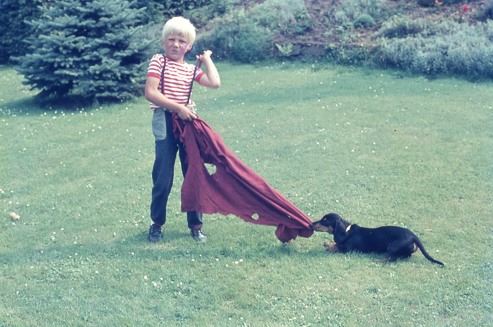 Niño jugando con perro salchicha, 1975