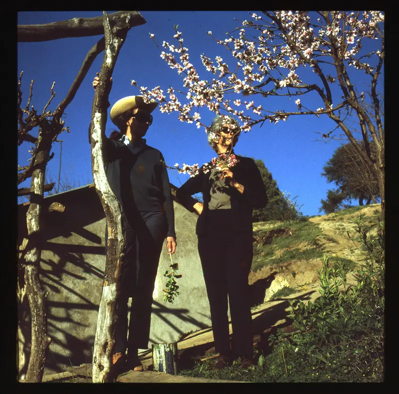 Mujeres entre árboles y parronal, Valle Venado, Región del Maule, Chile, 1950 - 1965