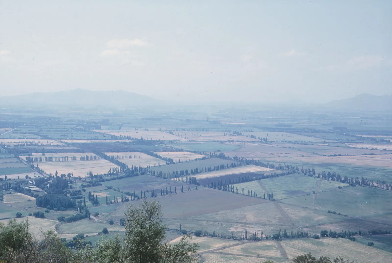 Valle entre Valparaíso y Santiago, 1965