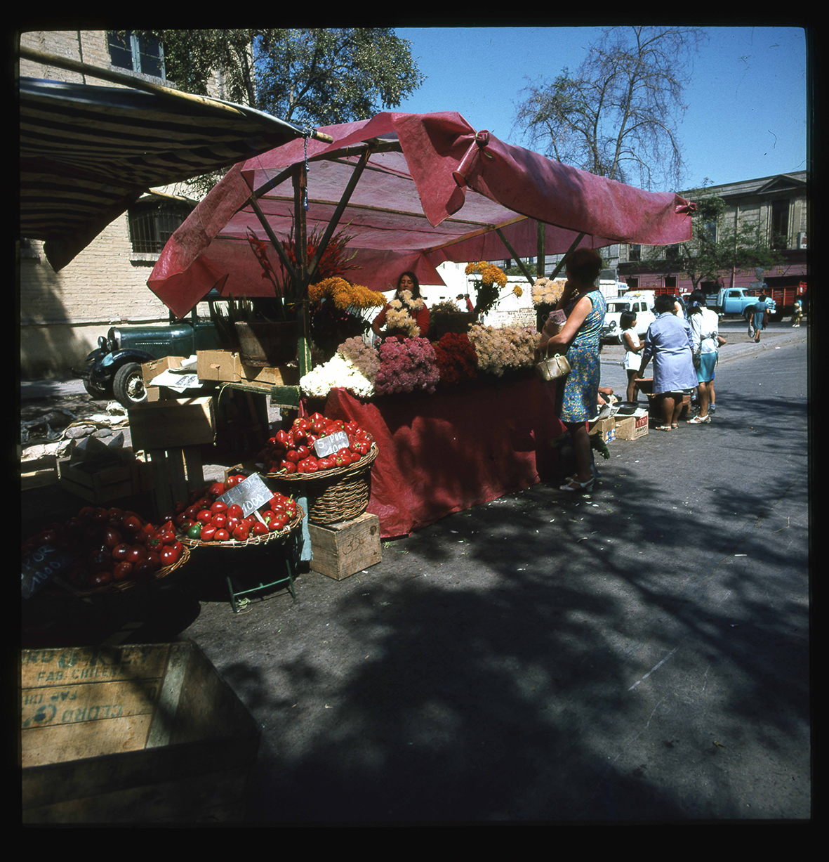 Puestos de verdura y flores, Recoleta, Región Metropolitana, Chile, 1950 - 1965