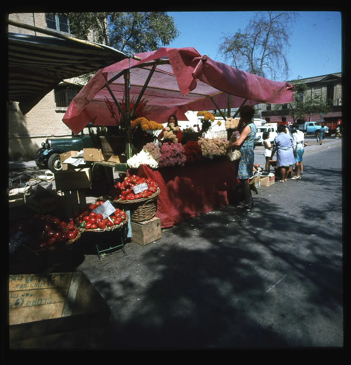 Puestos de verdura y flores, Recoleta, Región Metropolitana, Chile, 1950 - 1965