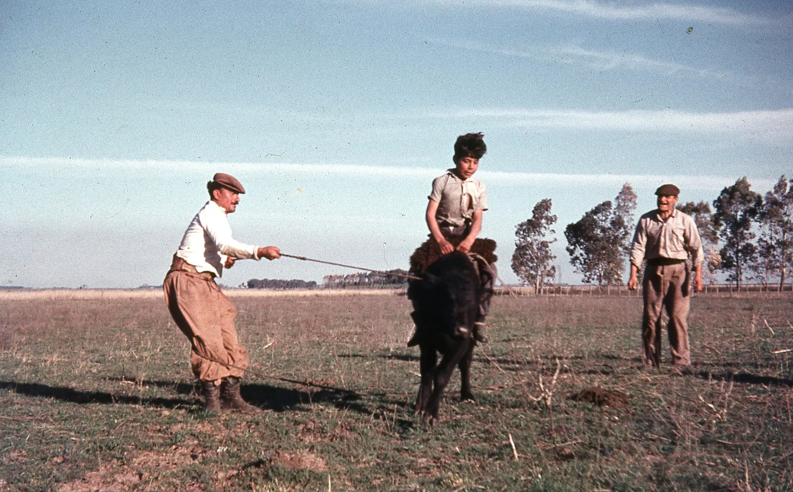 Campo, 1960