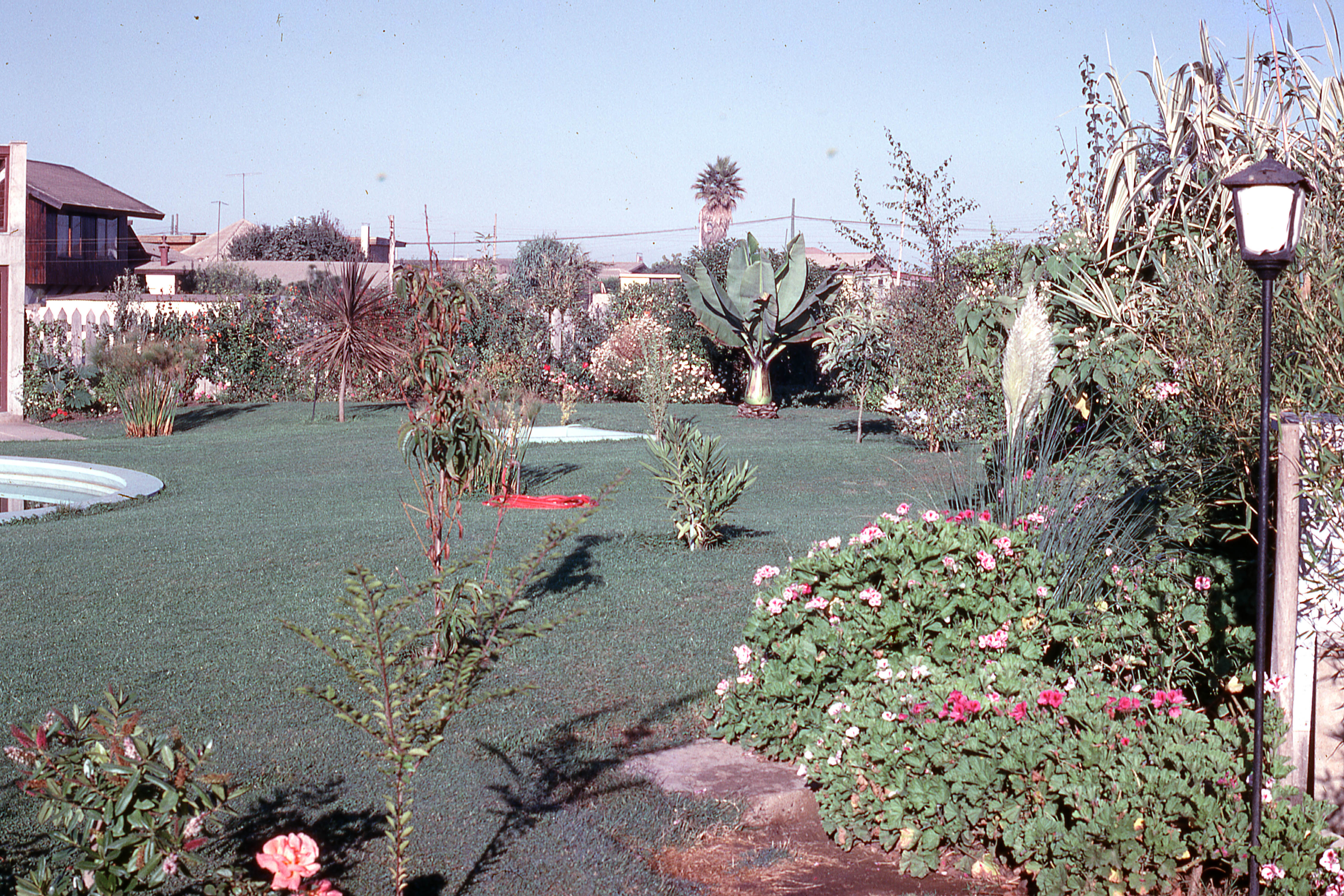 Jardín de casa en 1965