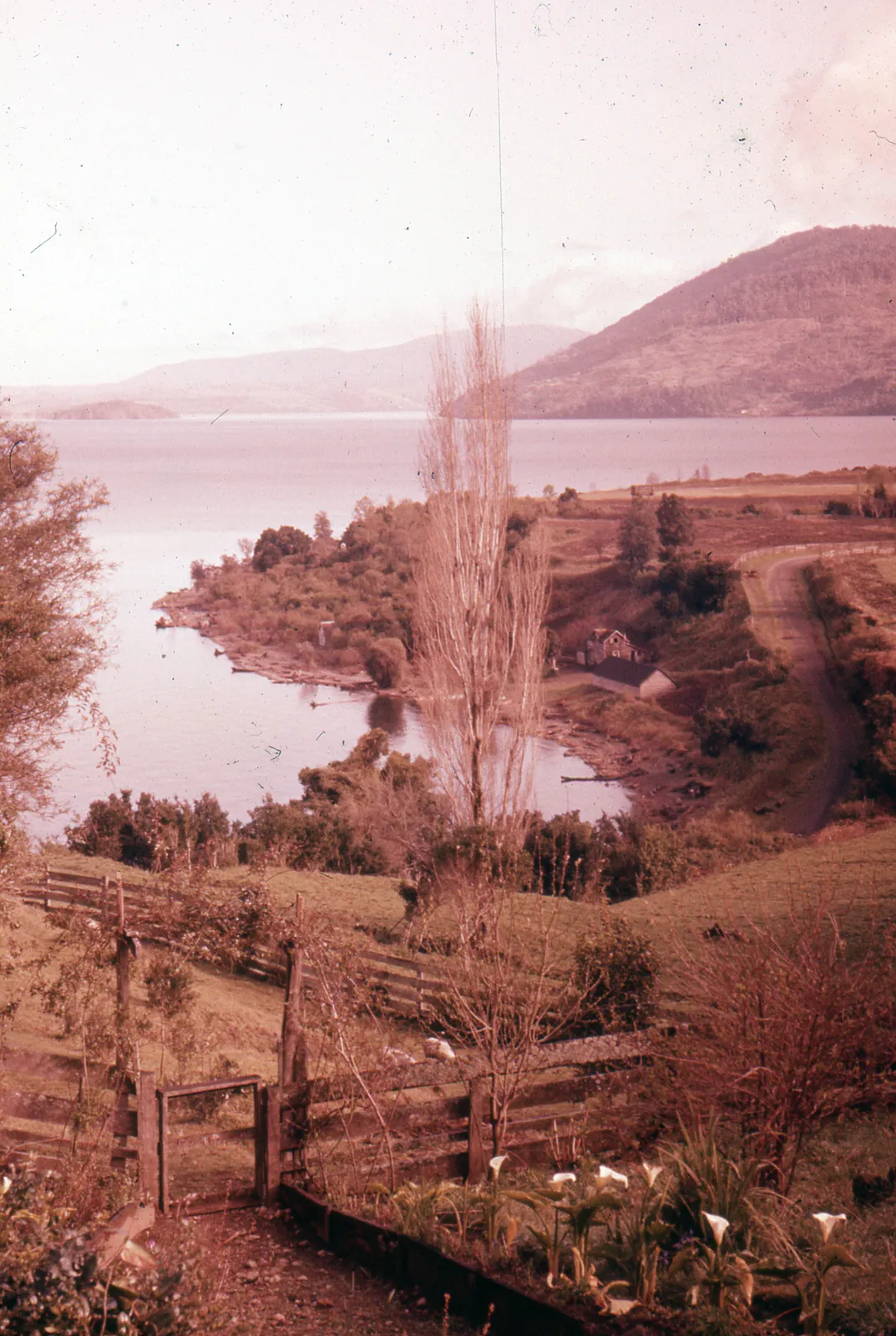 Vista Campestre al Lago, ca. 1965.
